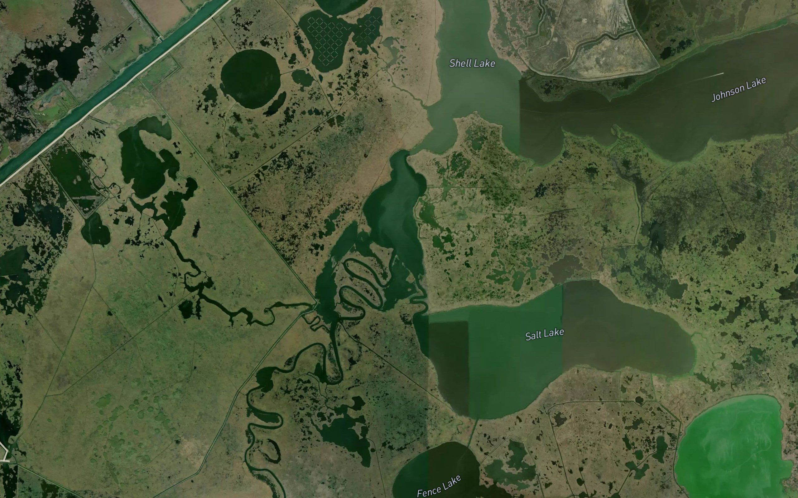 Salt Bayou