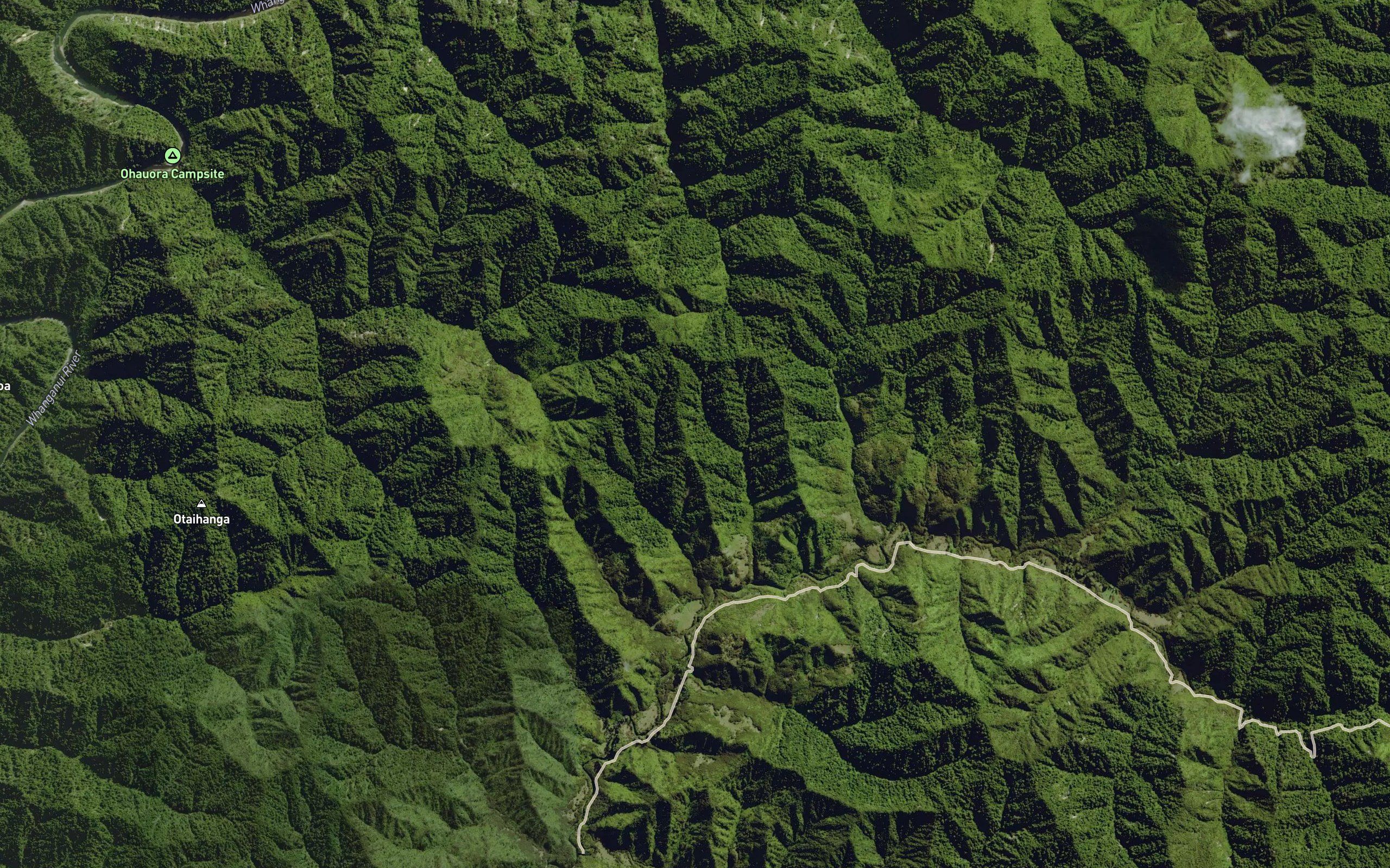 Mangapurua Stream