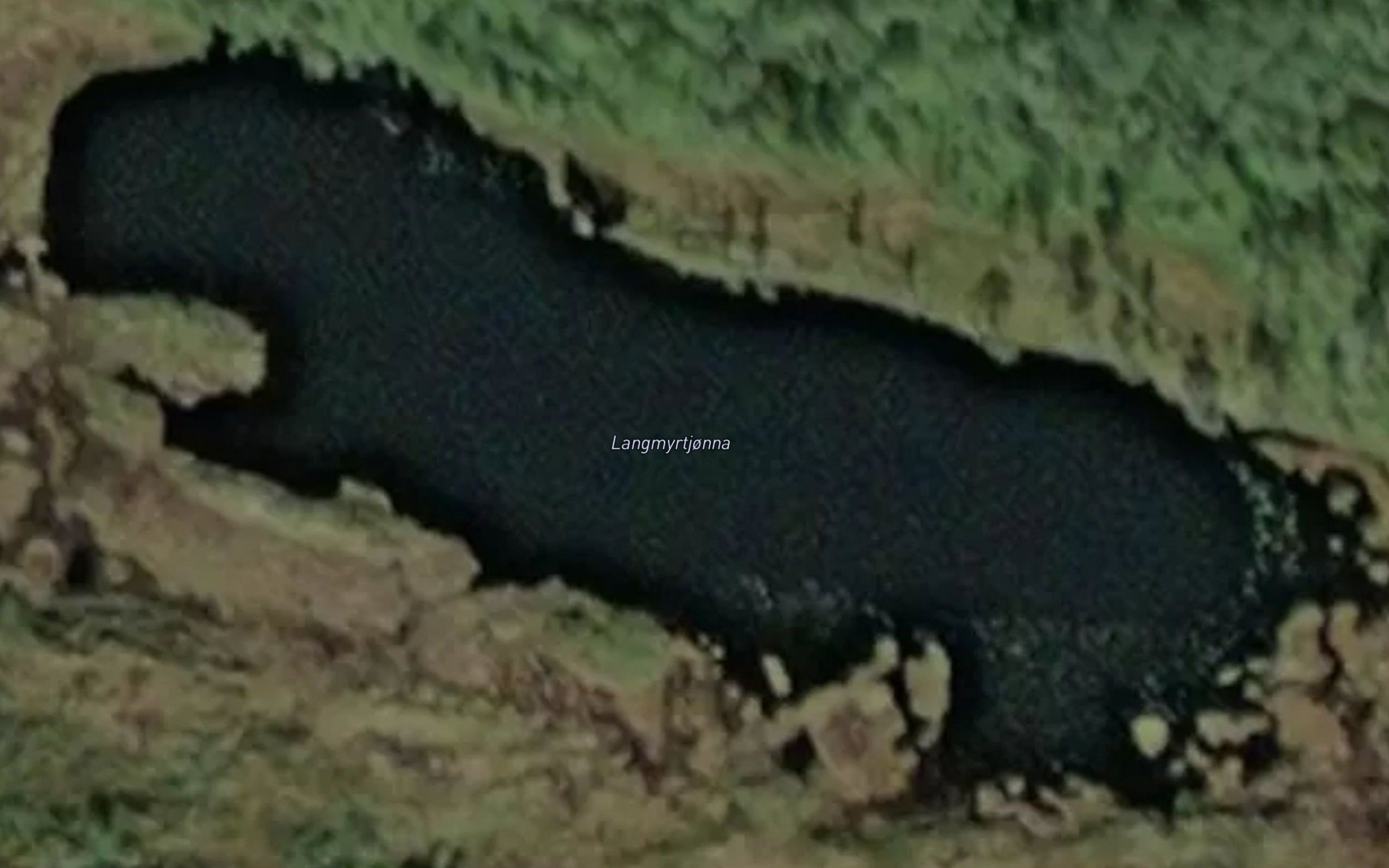 Langmyrtjonna