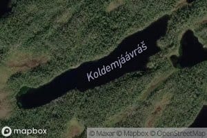 Koldemjaavras