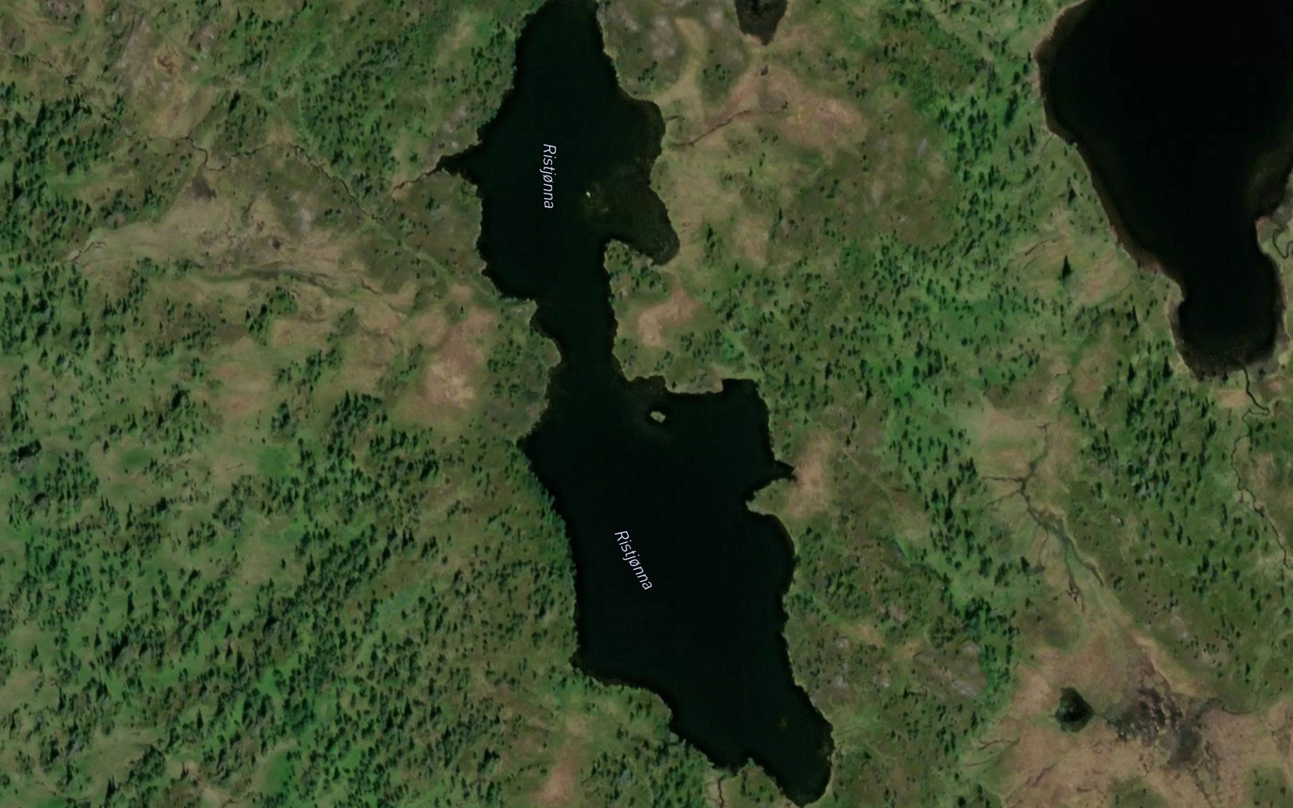 Ristjorna