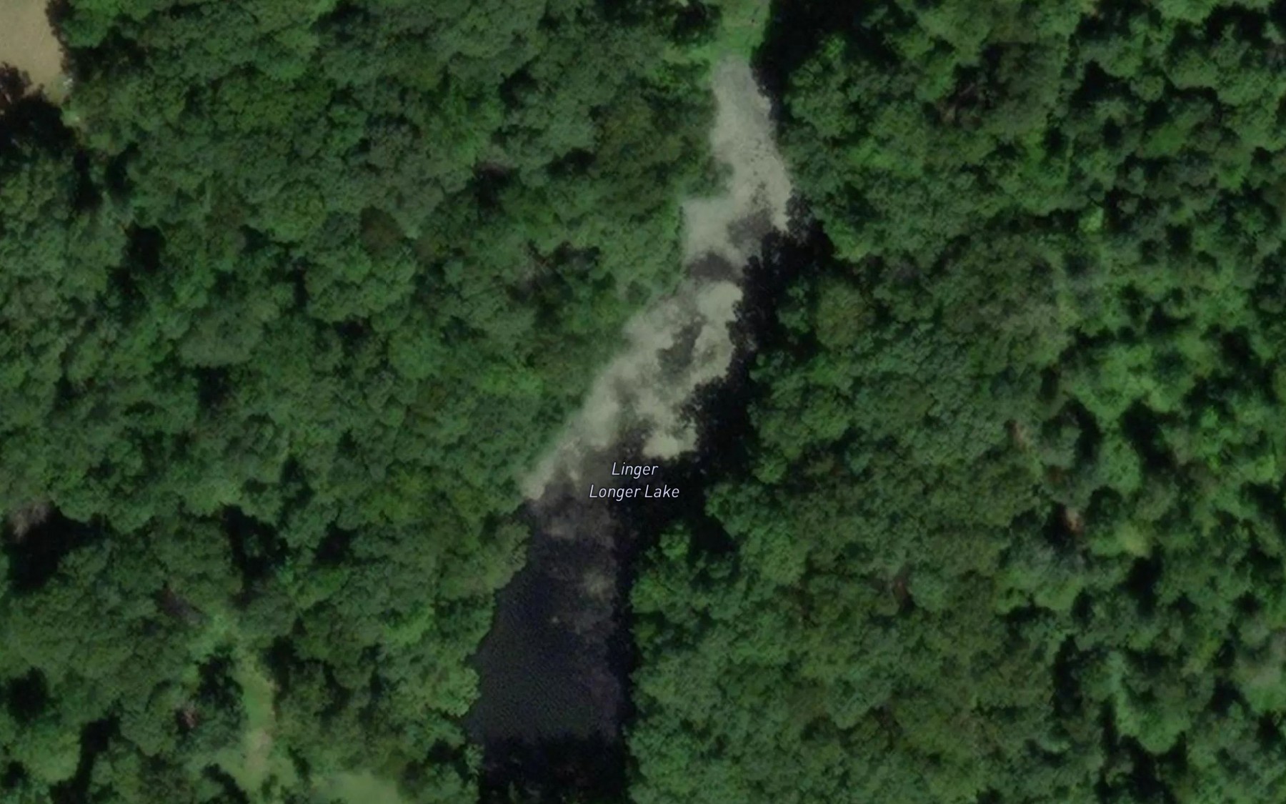 Satellite map of the Linger Longer Lake