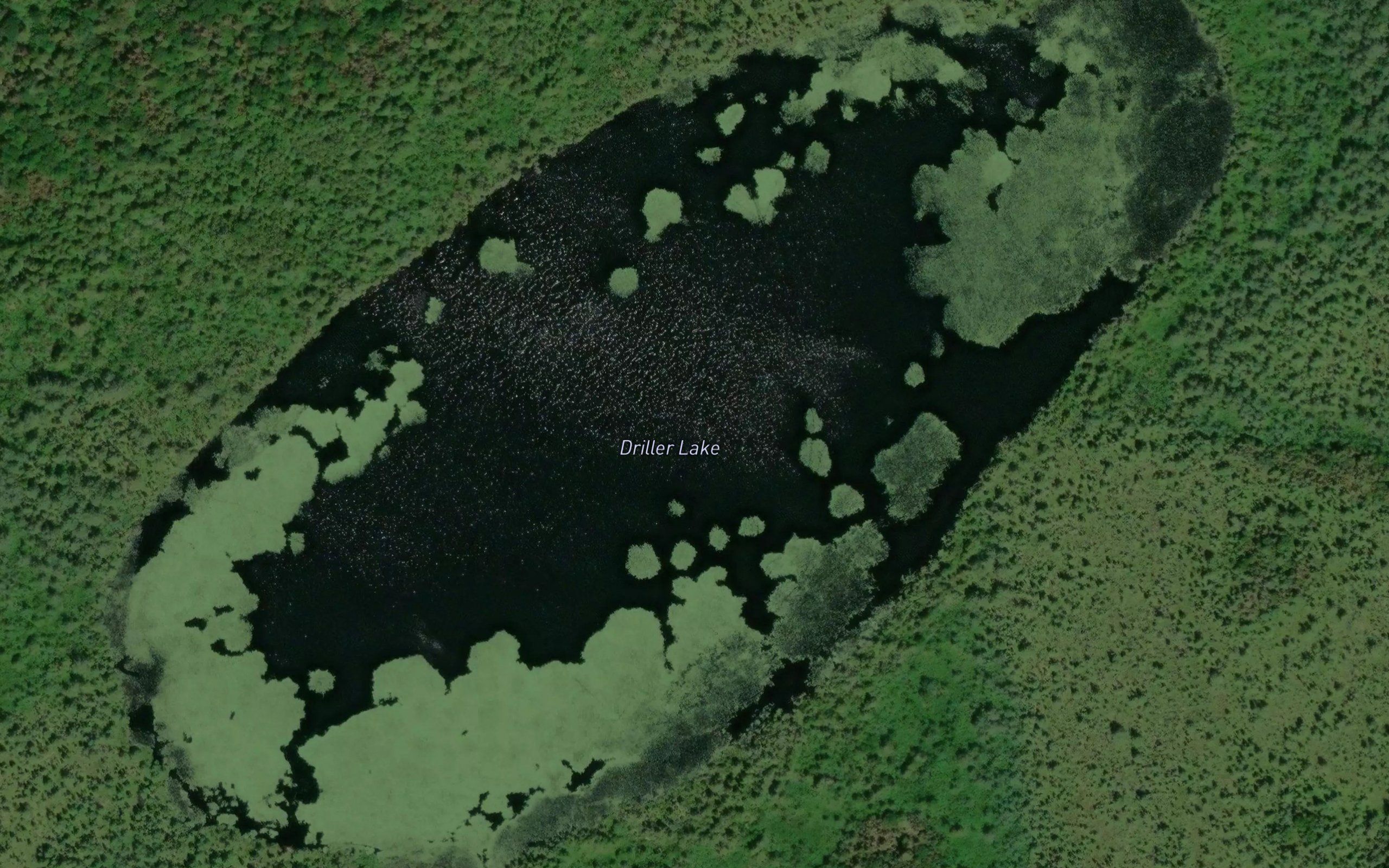 Driller Lake