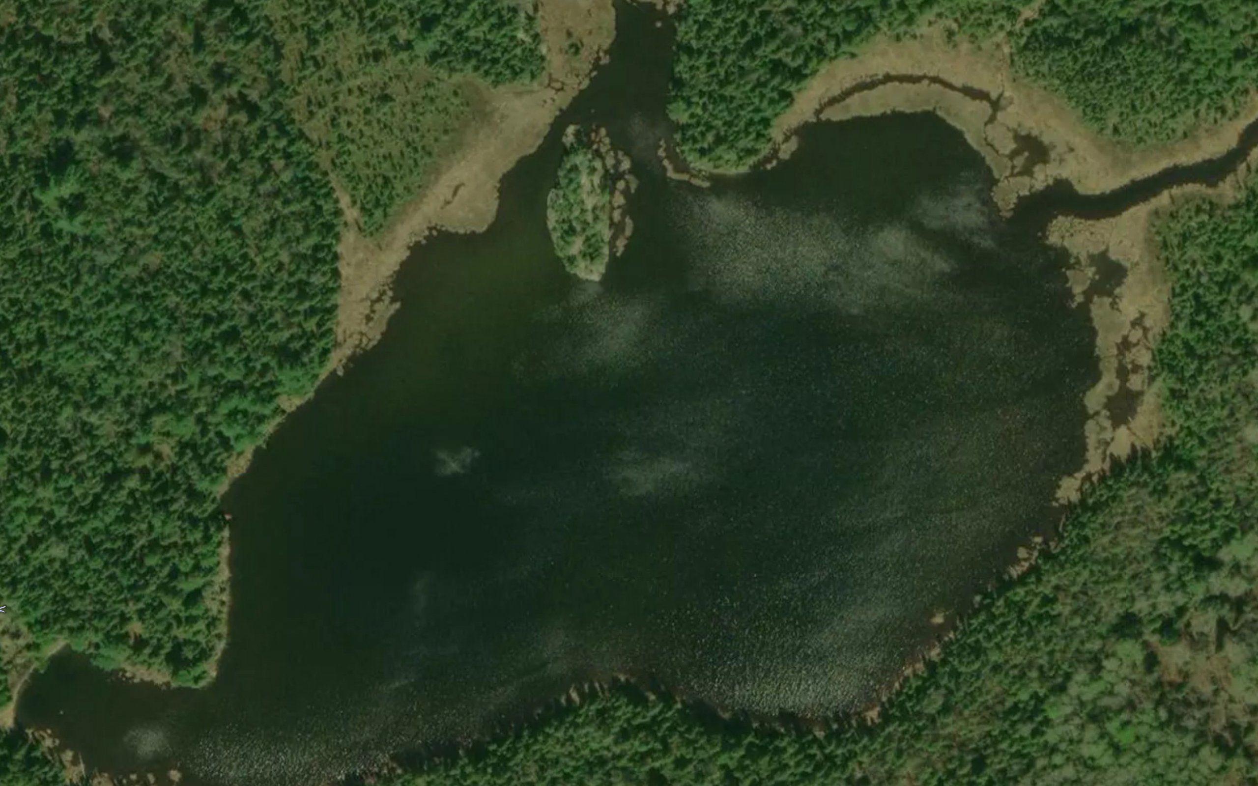 Eliza Lake