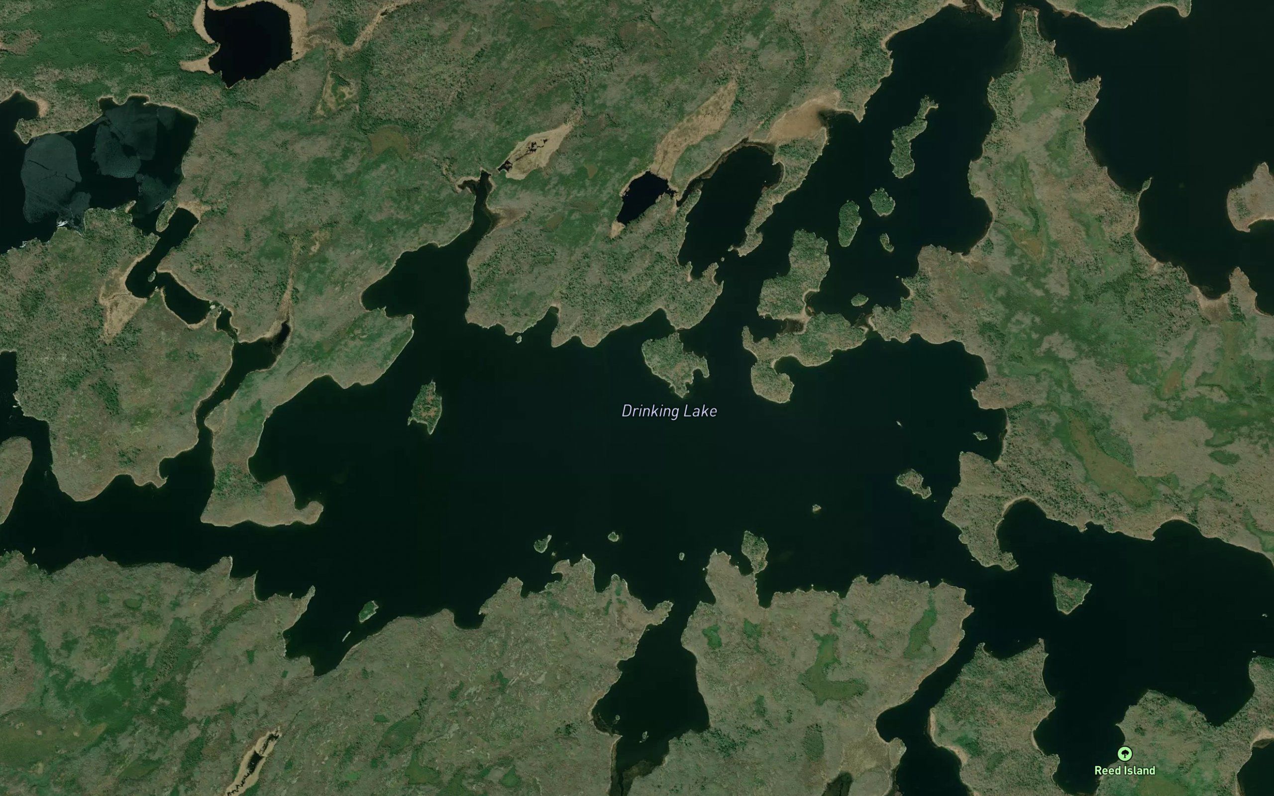 Drinking Lake