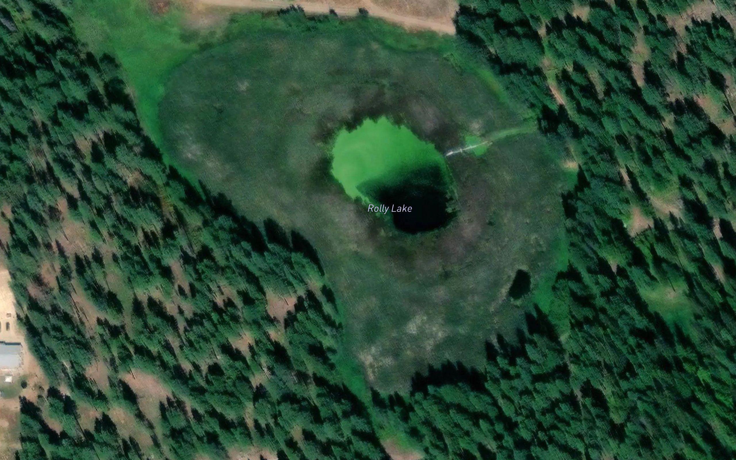 Rolly Lake