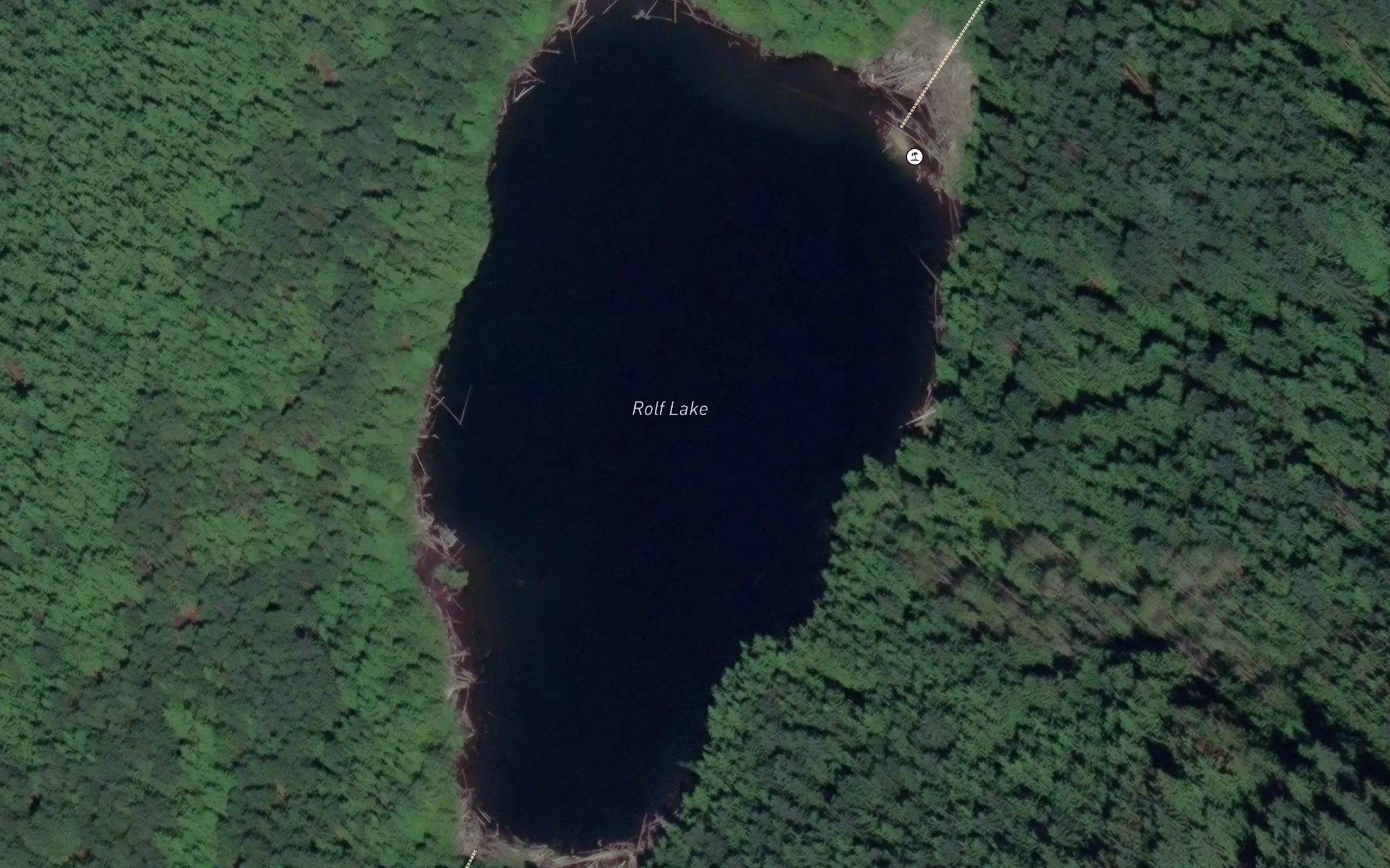 Rolf Lake