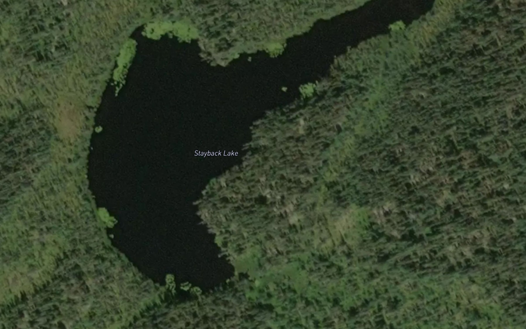 Satellite map of the Stayback Lake