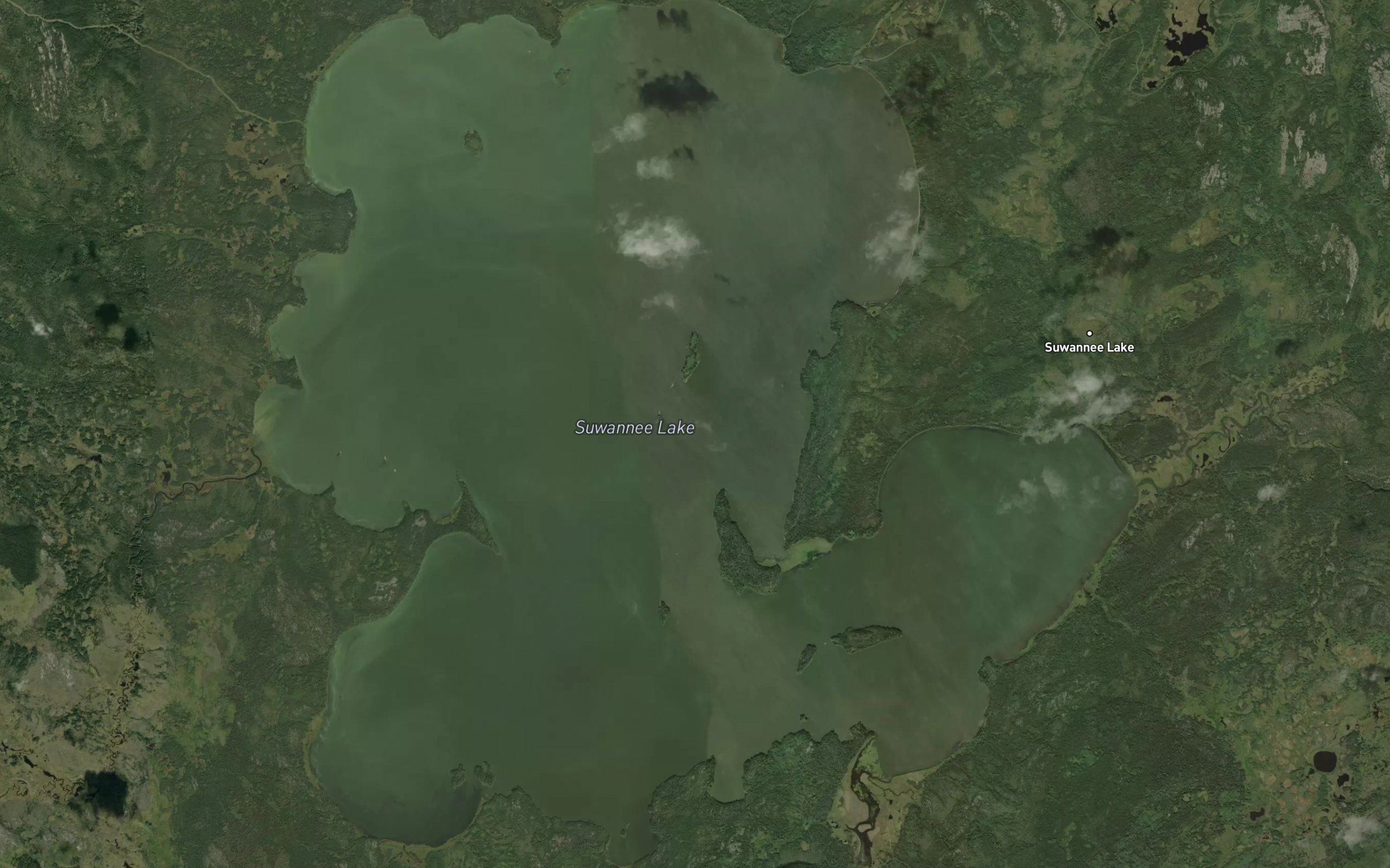 Suwannee Lake