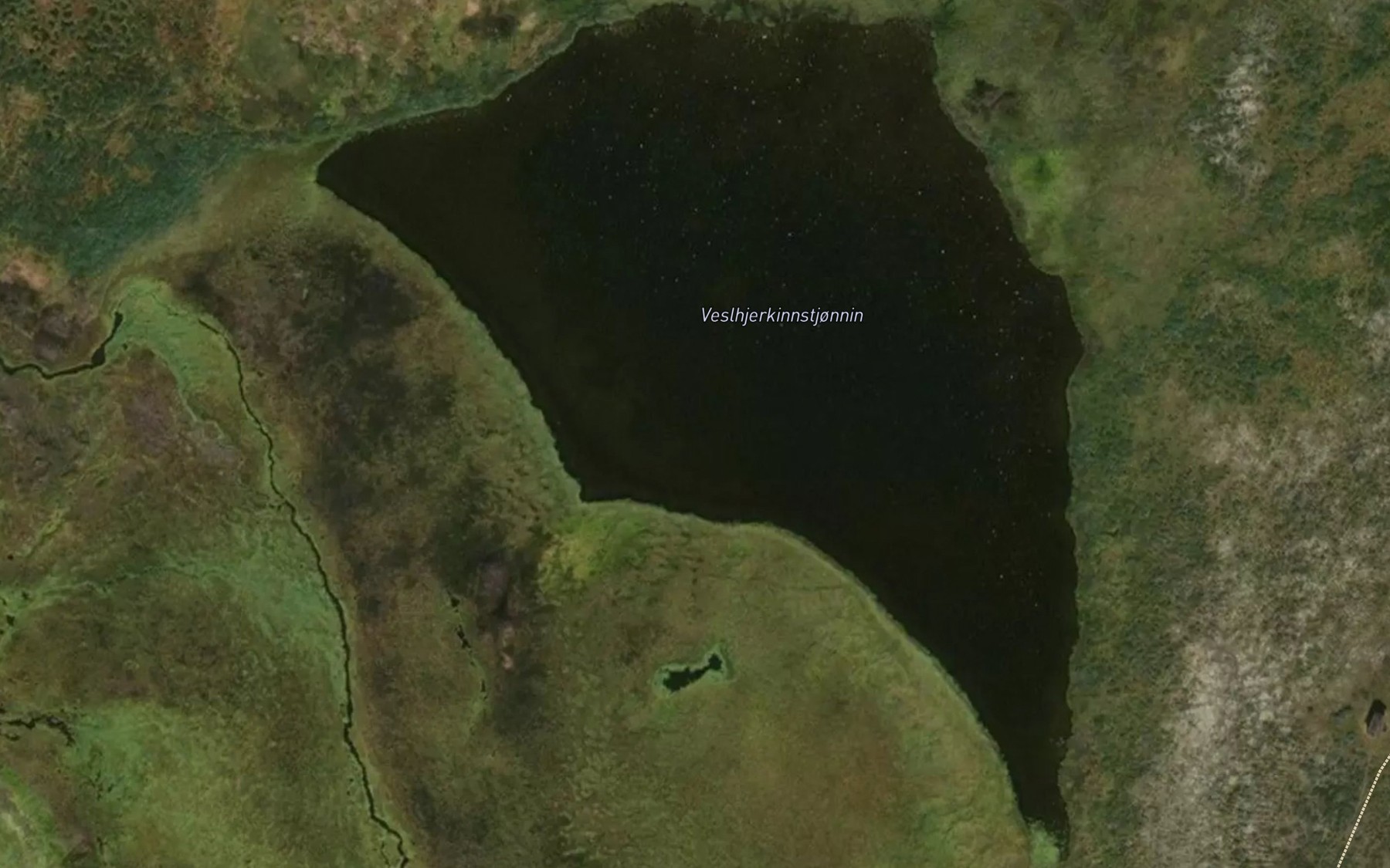 Satellite map of the Veslhjerkinntjornin
