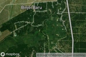 Sungai Bejangkar