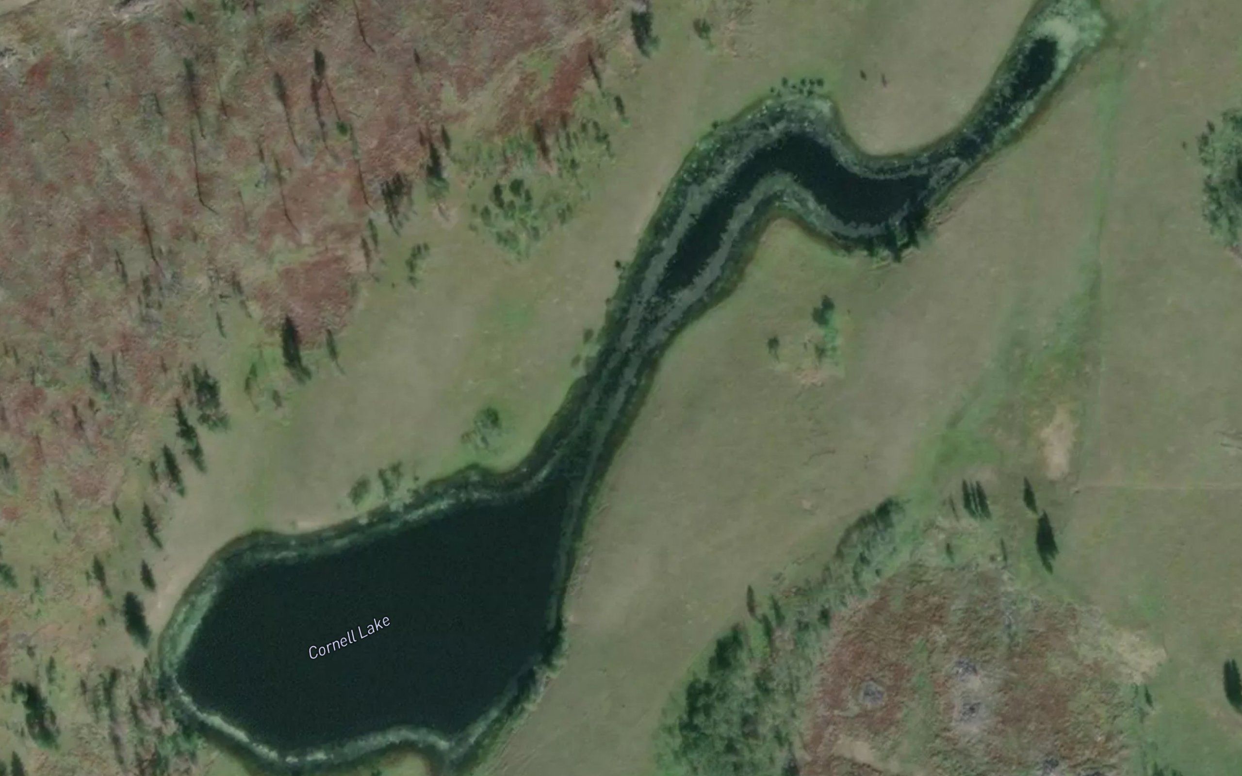 Cornell Lake