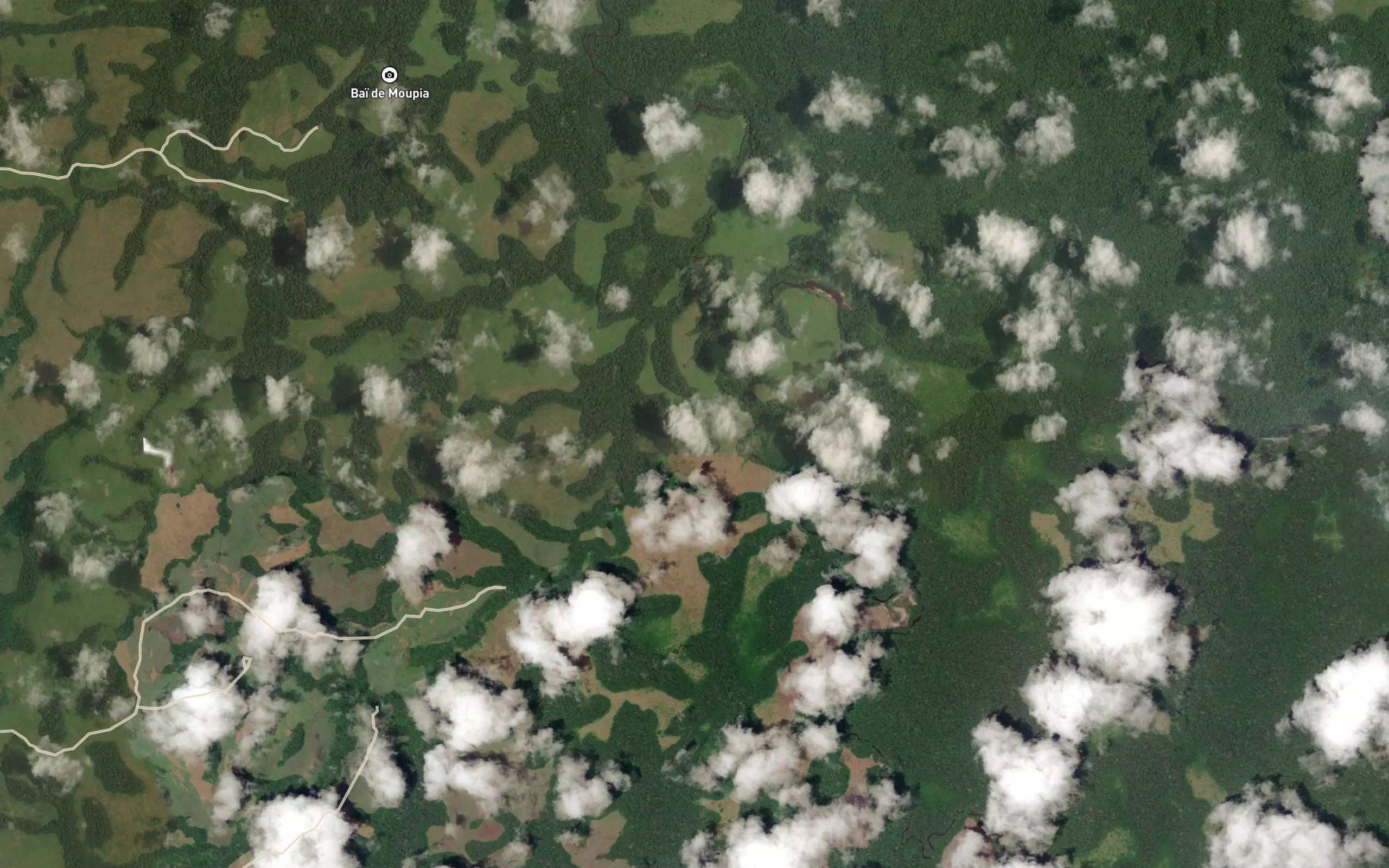 Bilangui
