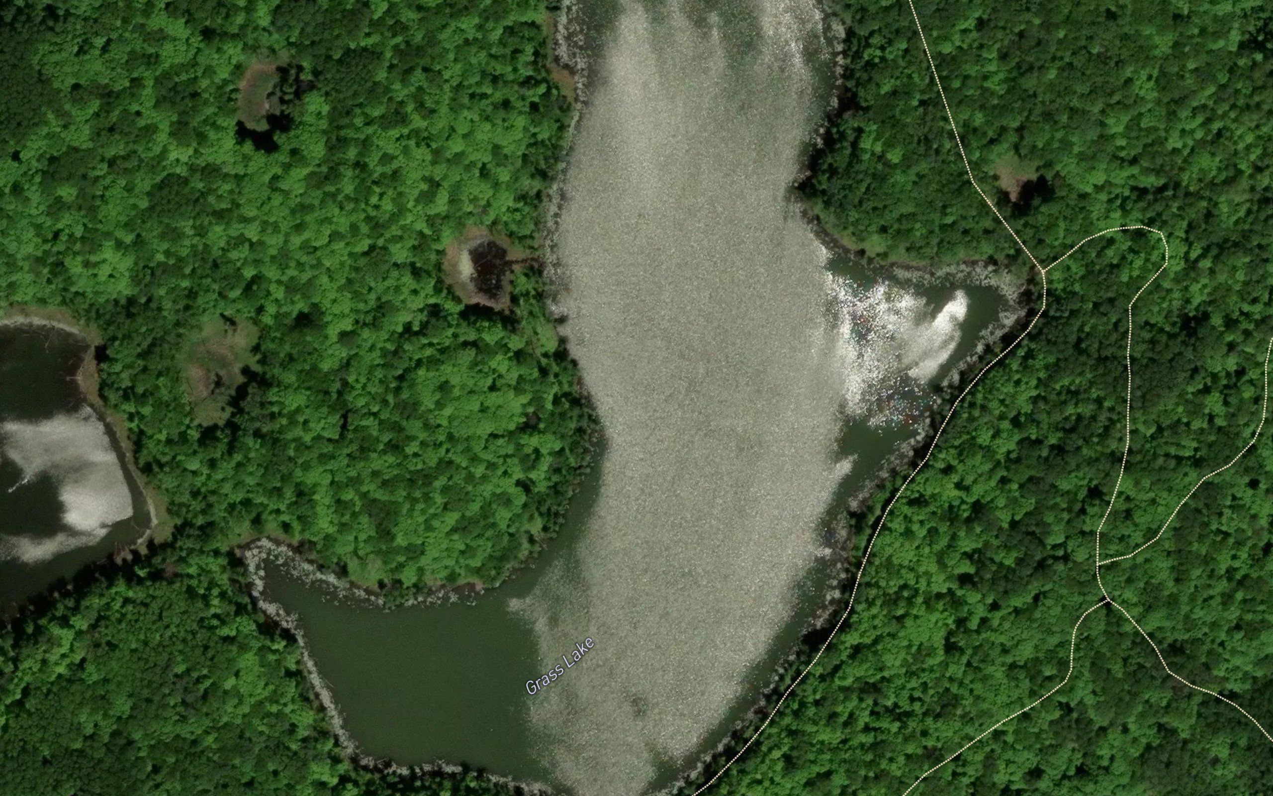 Grass Lake