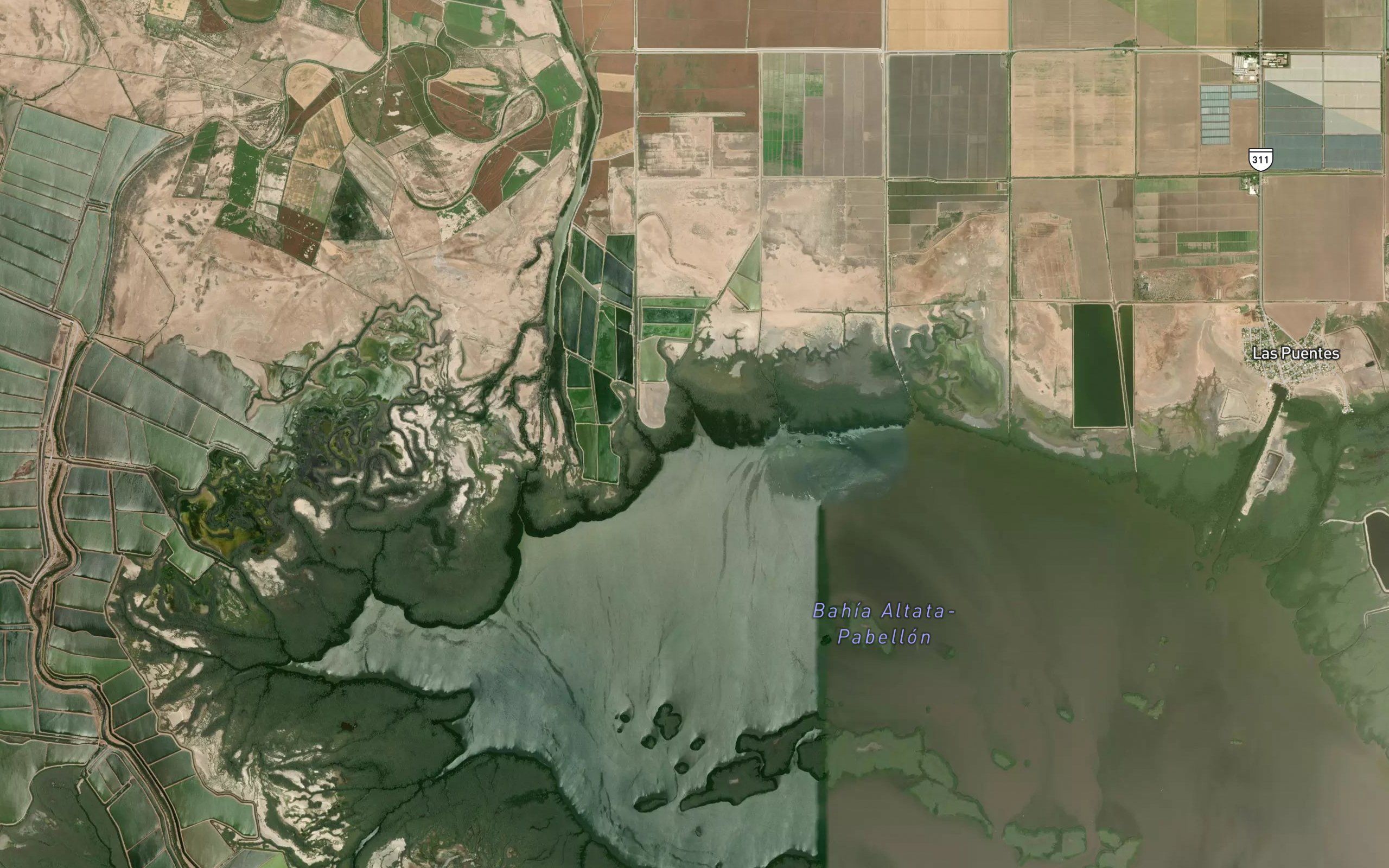 Estero Agua Amarga