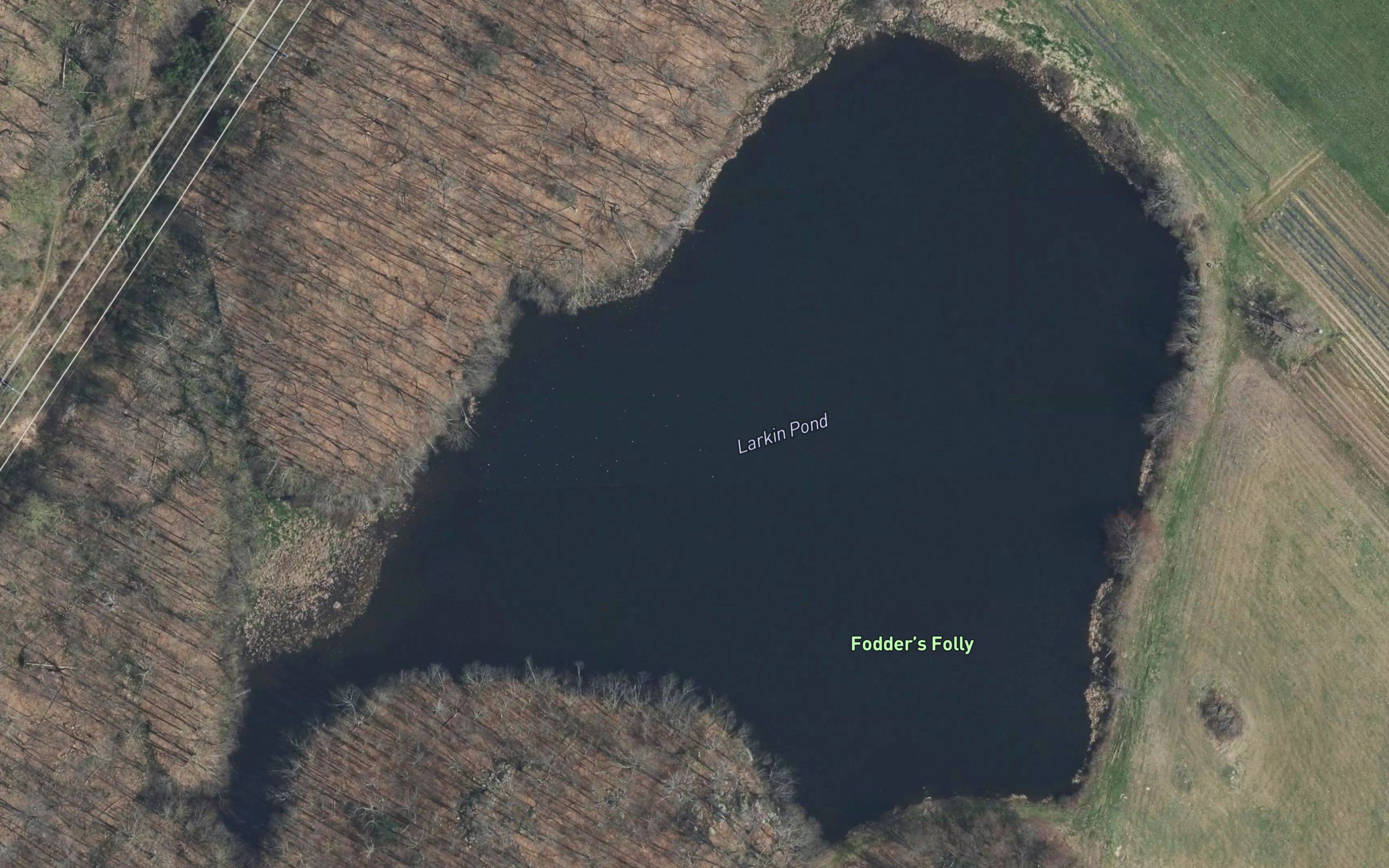 Larkin Pond