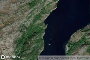 Larsvika
