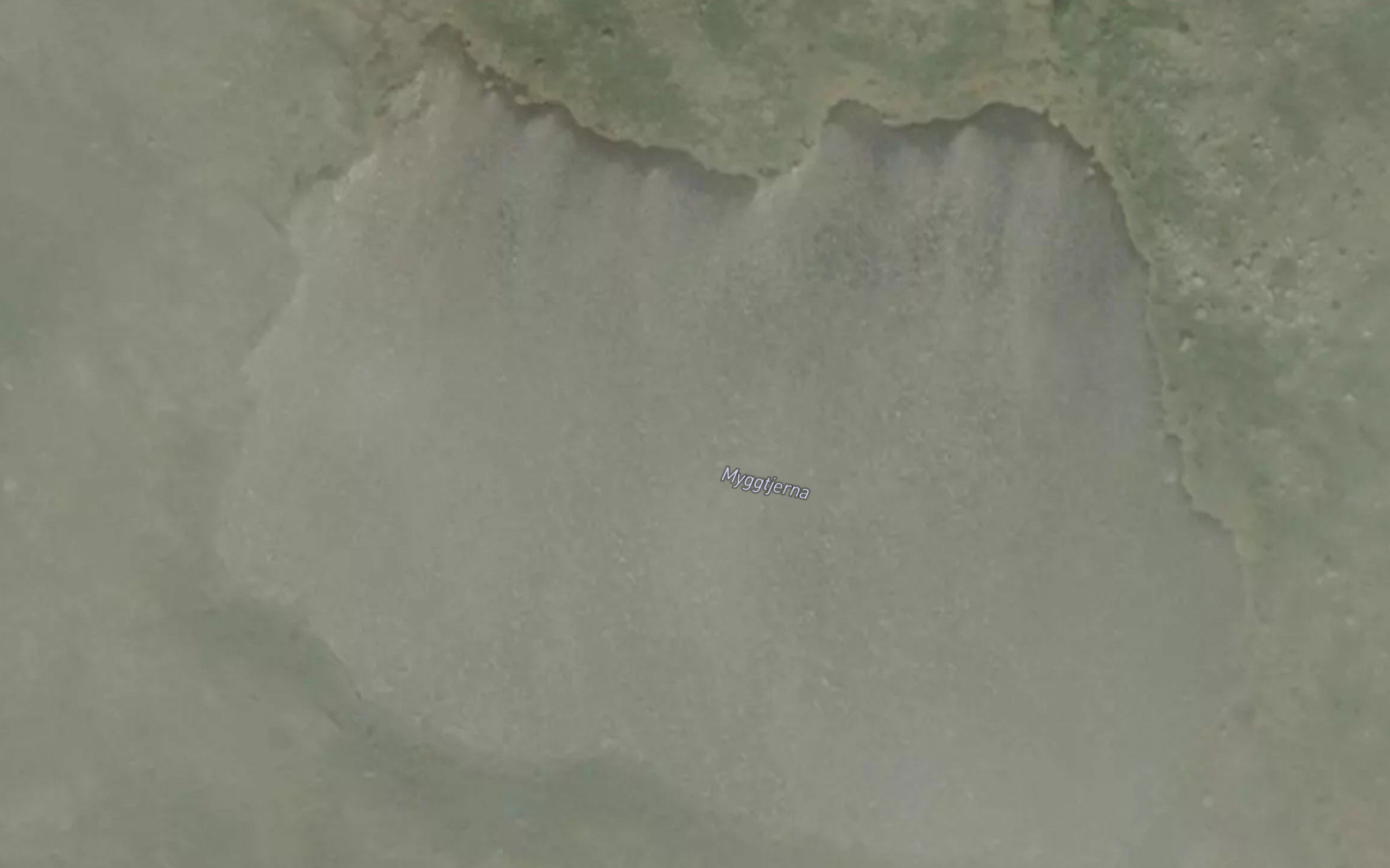Myggtjerna