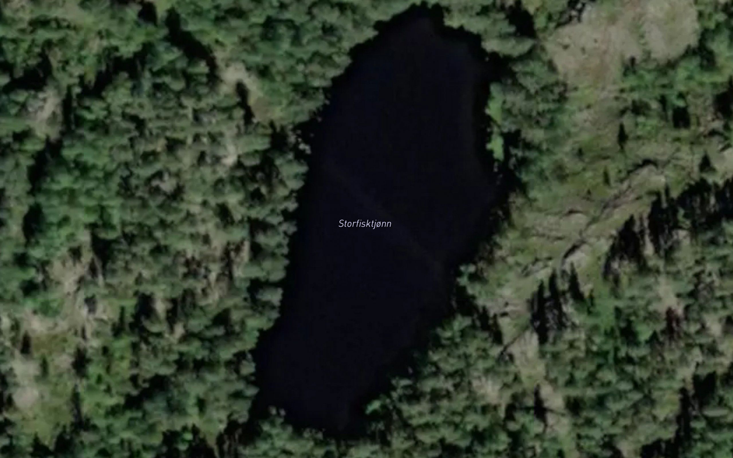 Storfisktjonn