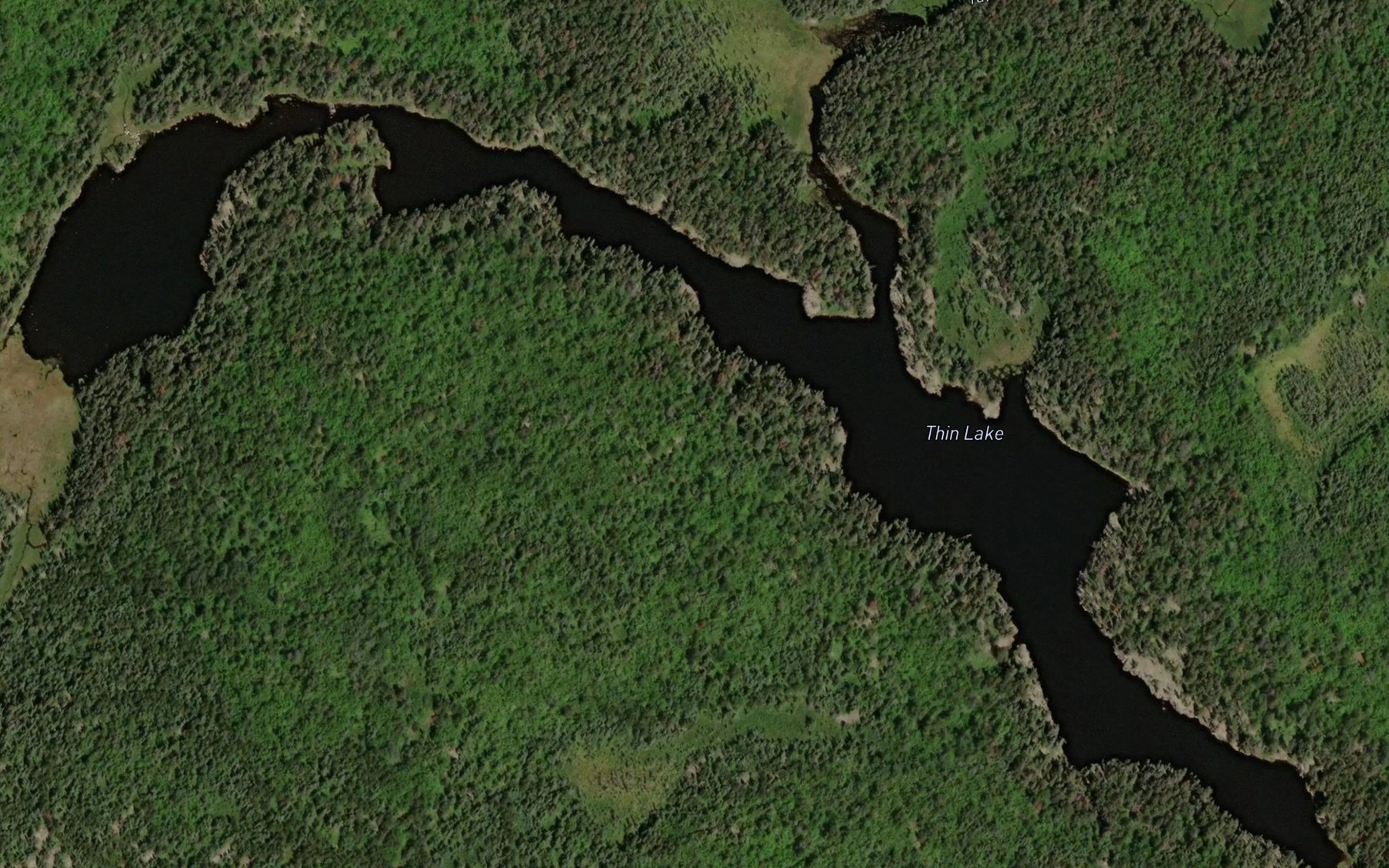 Satellite map of the Thin Lake
