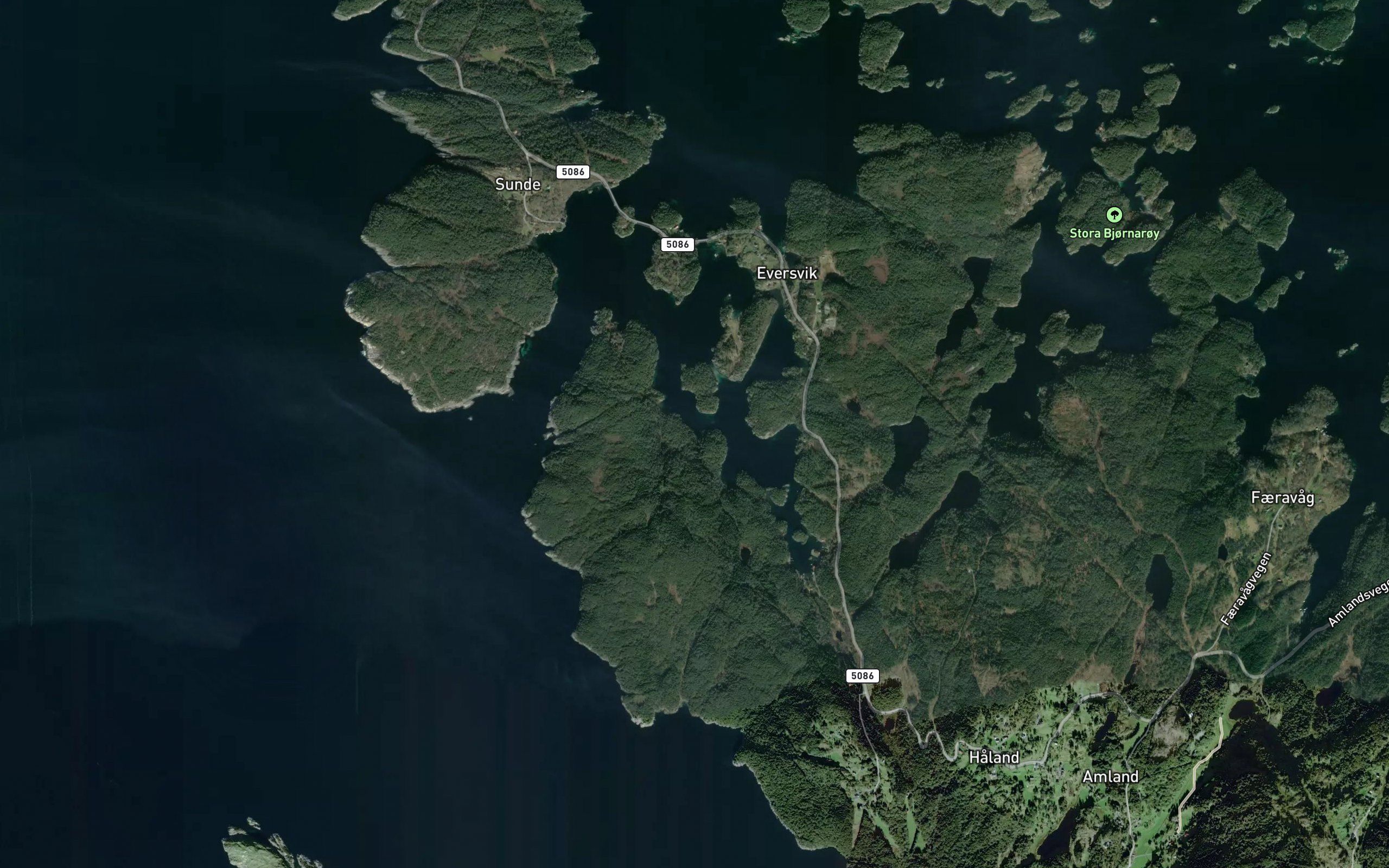 Skipavika