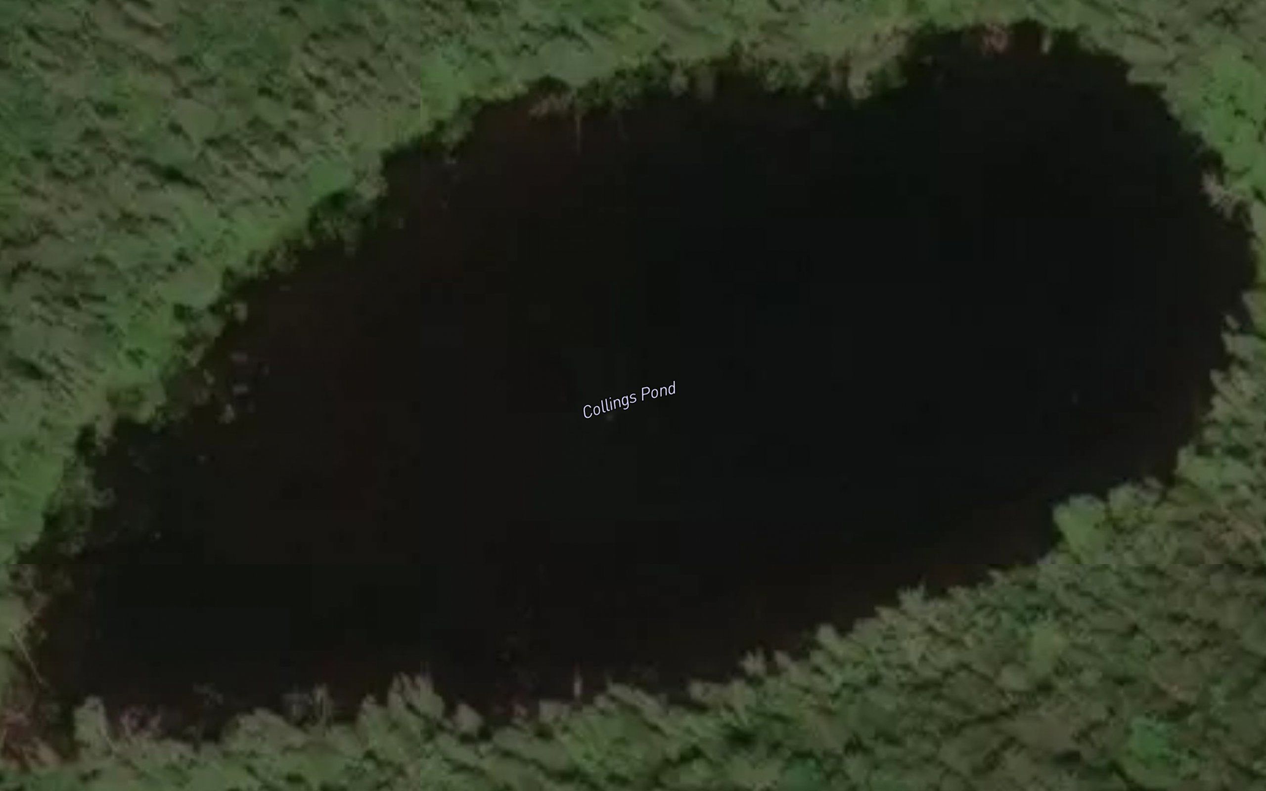 Collins Pond