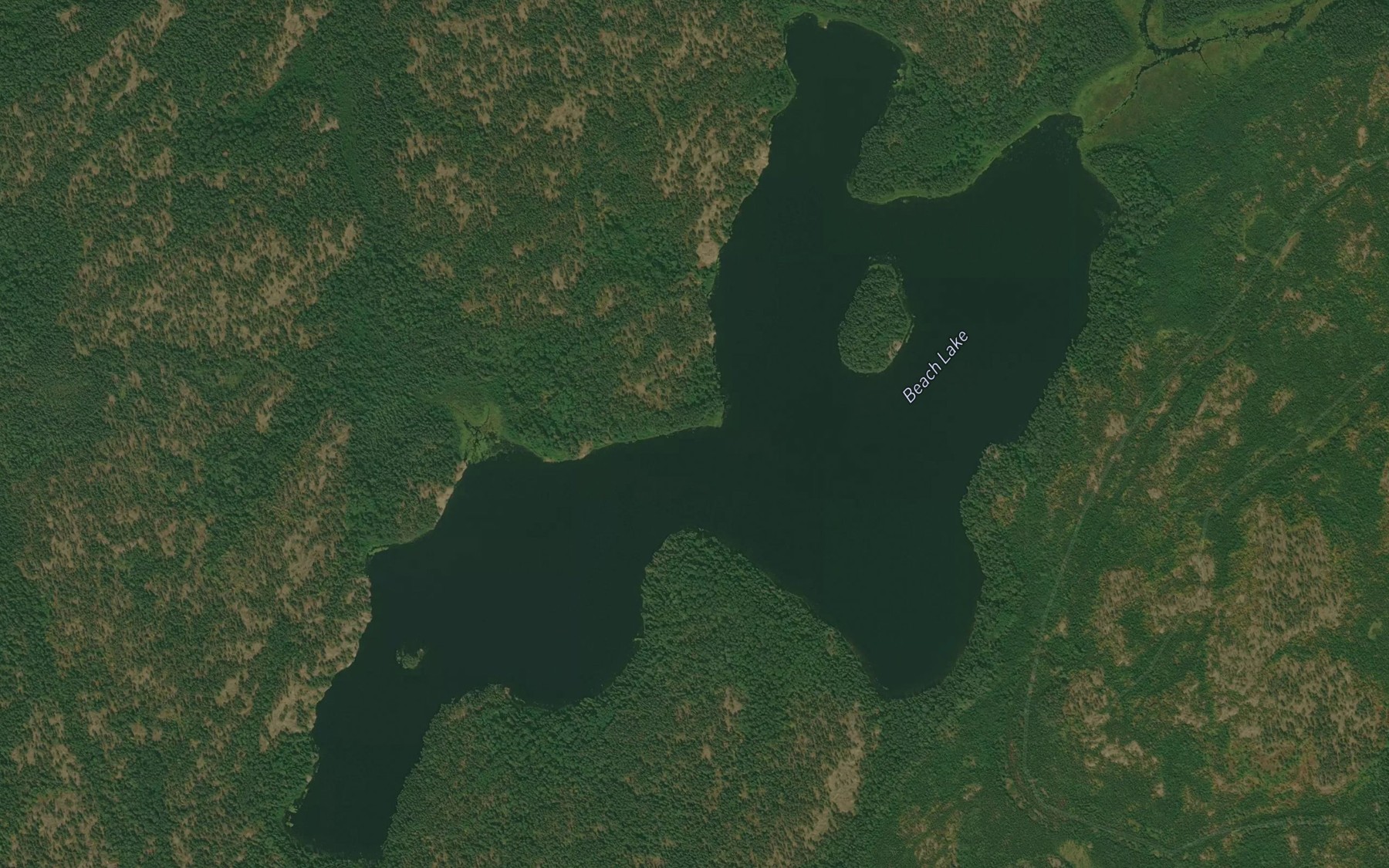 Satellite map of the Beach Lake