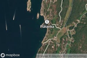 Flatavika