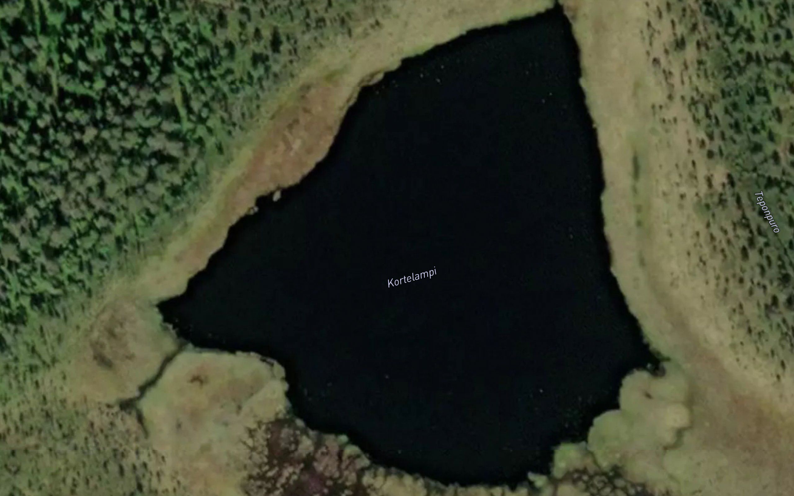 Kortelampi