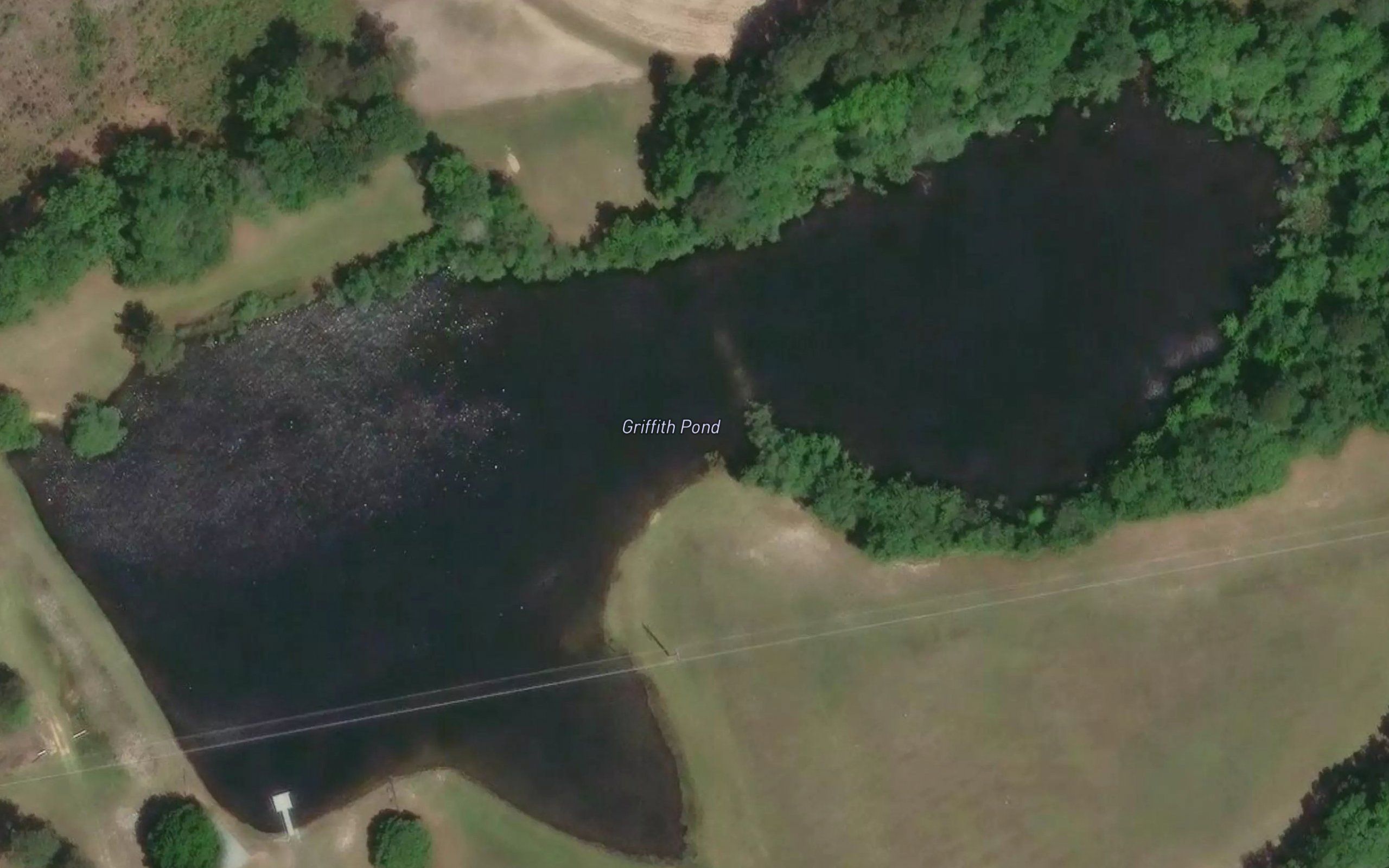 Griffith Pond