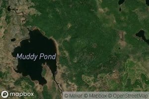 Muddy Pond