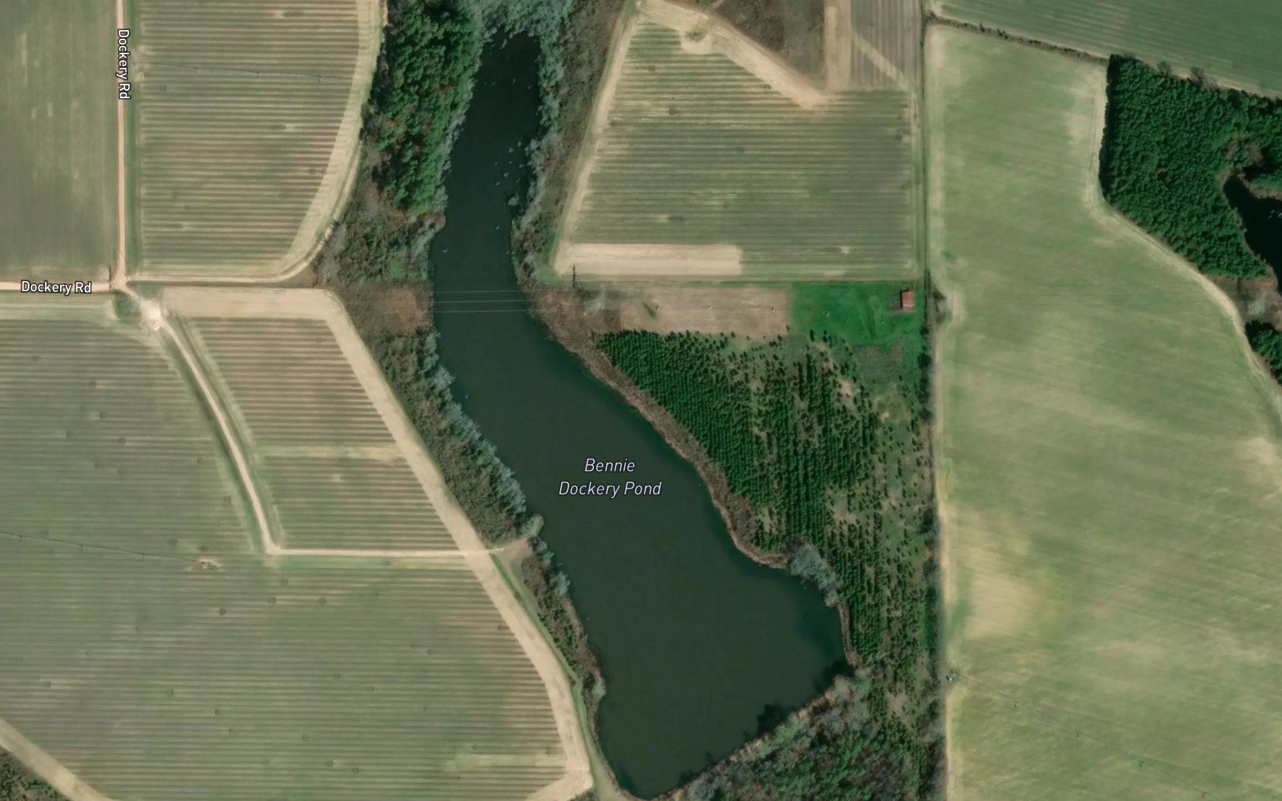 Bennie Dockery Pond