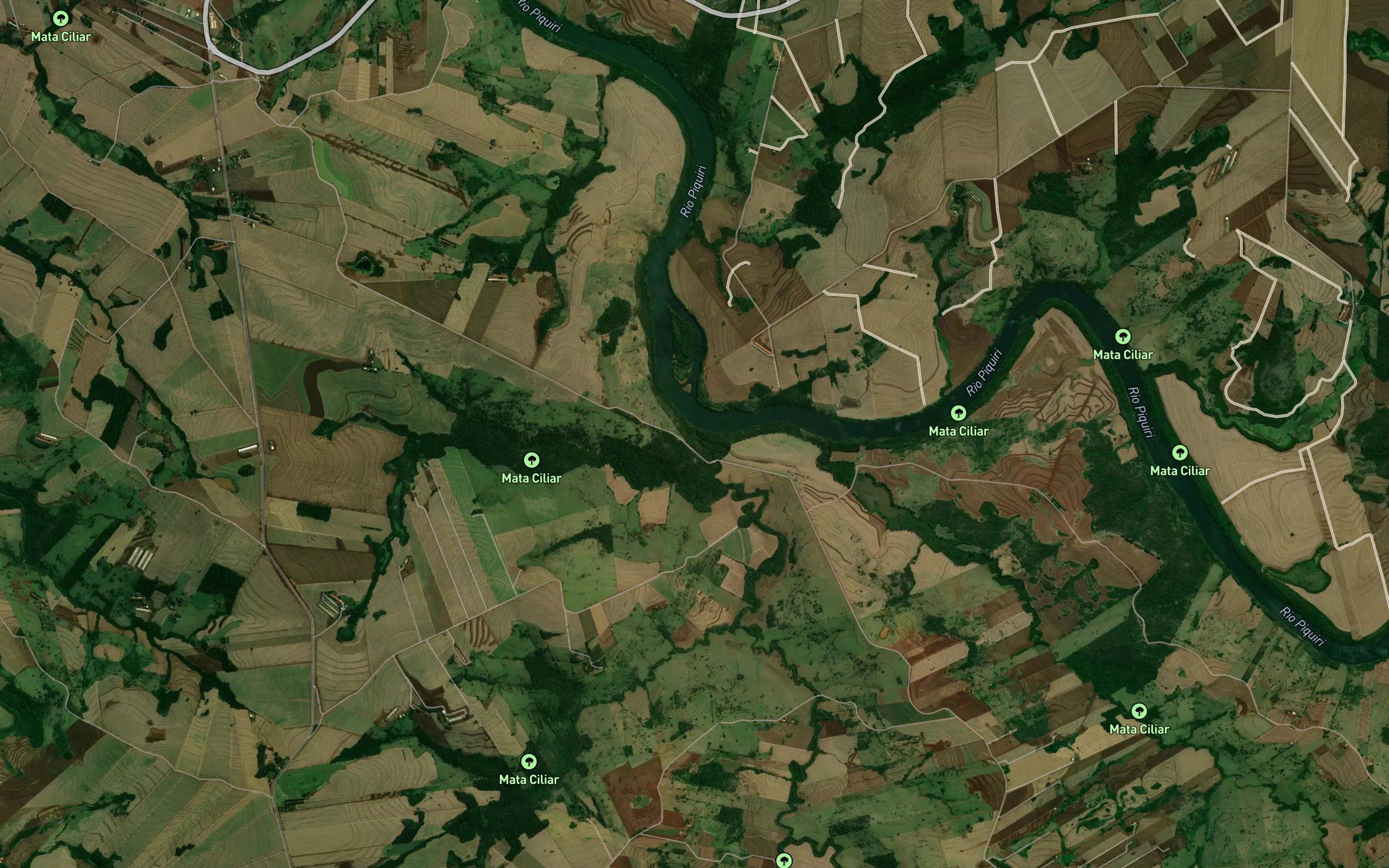 Ribeirao Hong-Kong