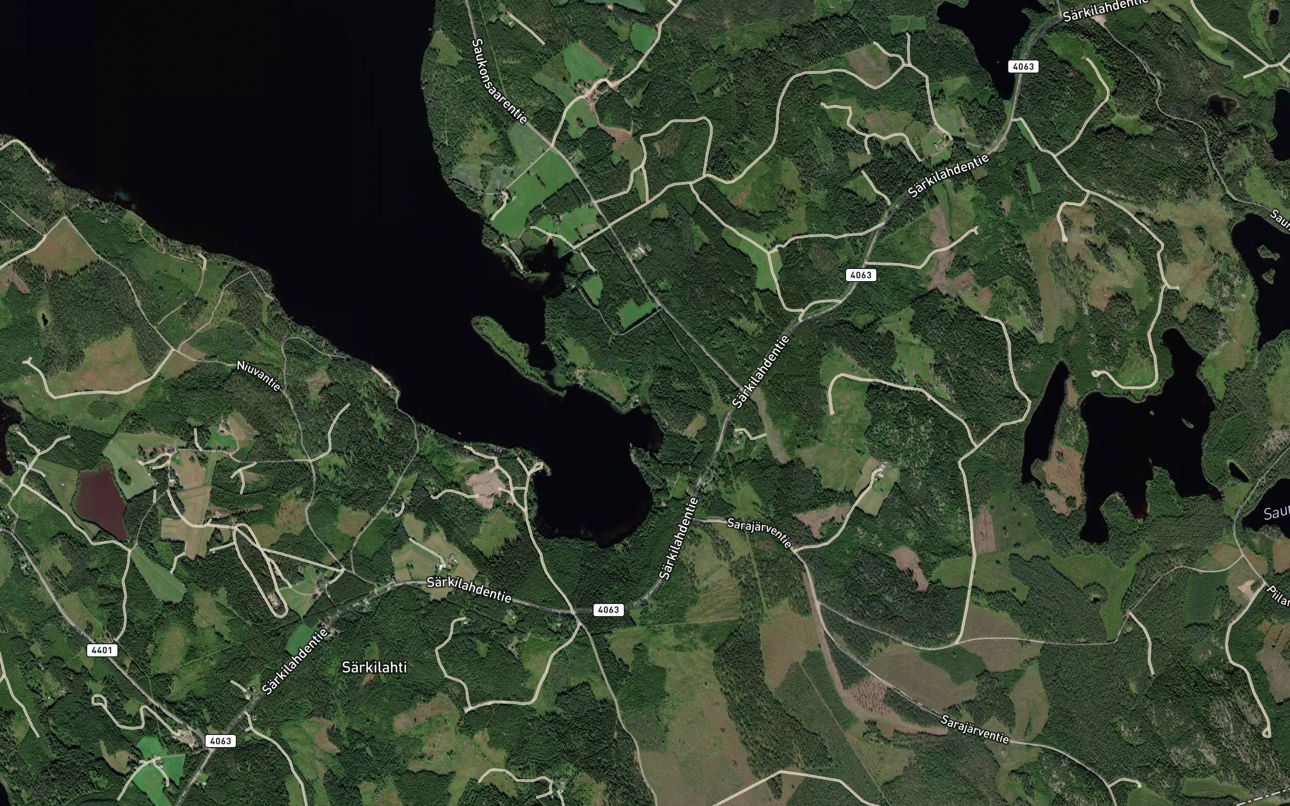 Kaarinjoki
