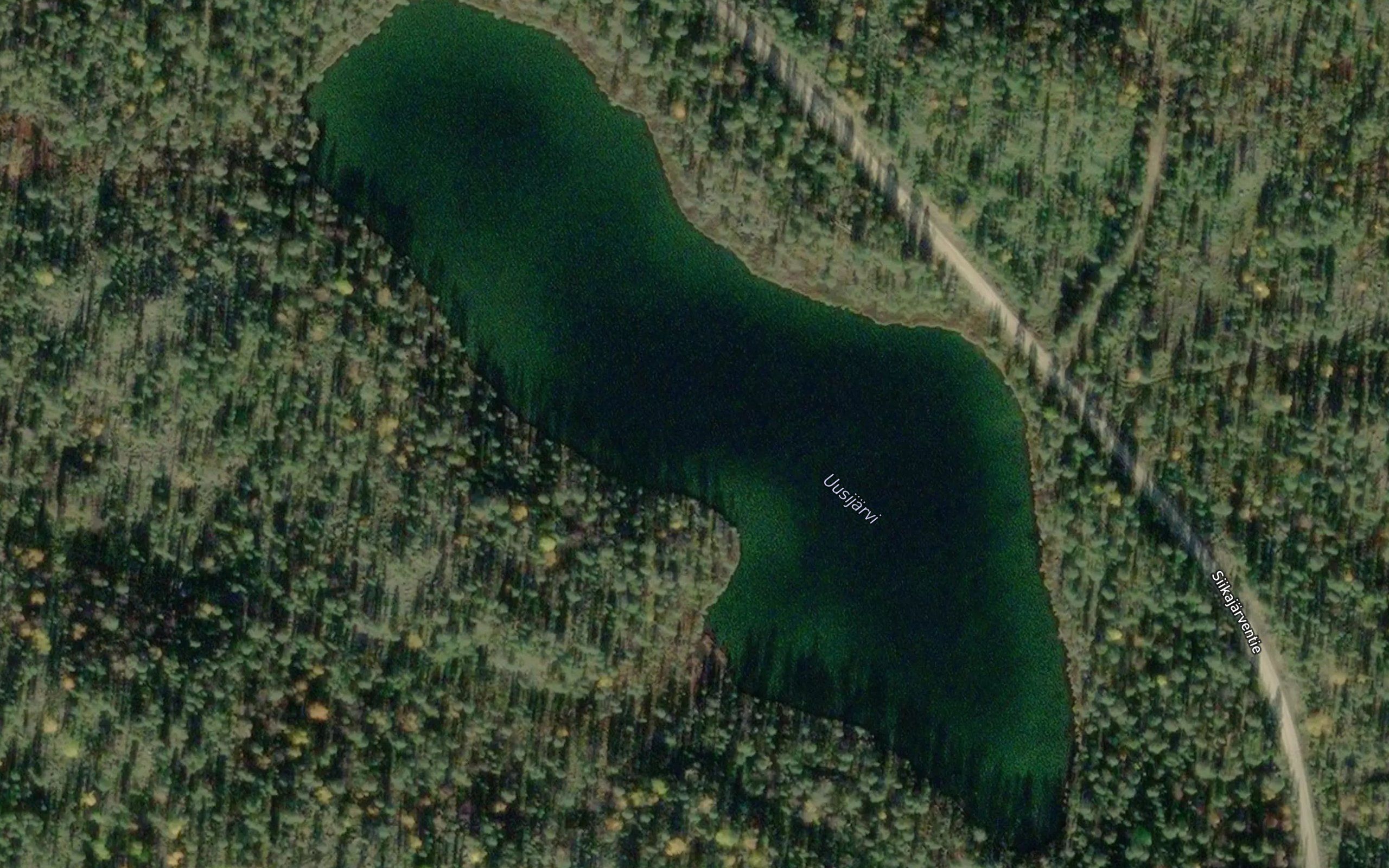 Uddajavri