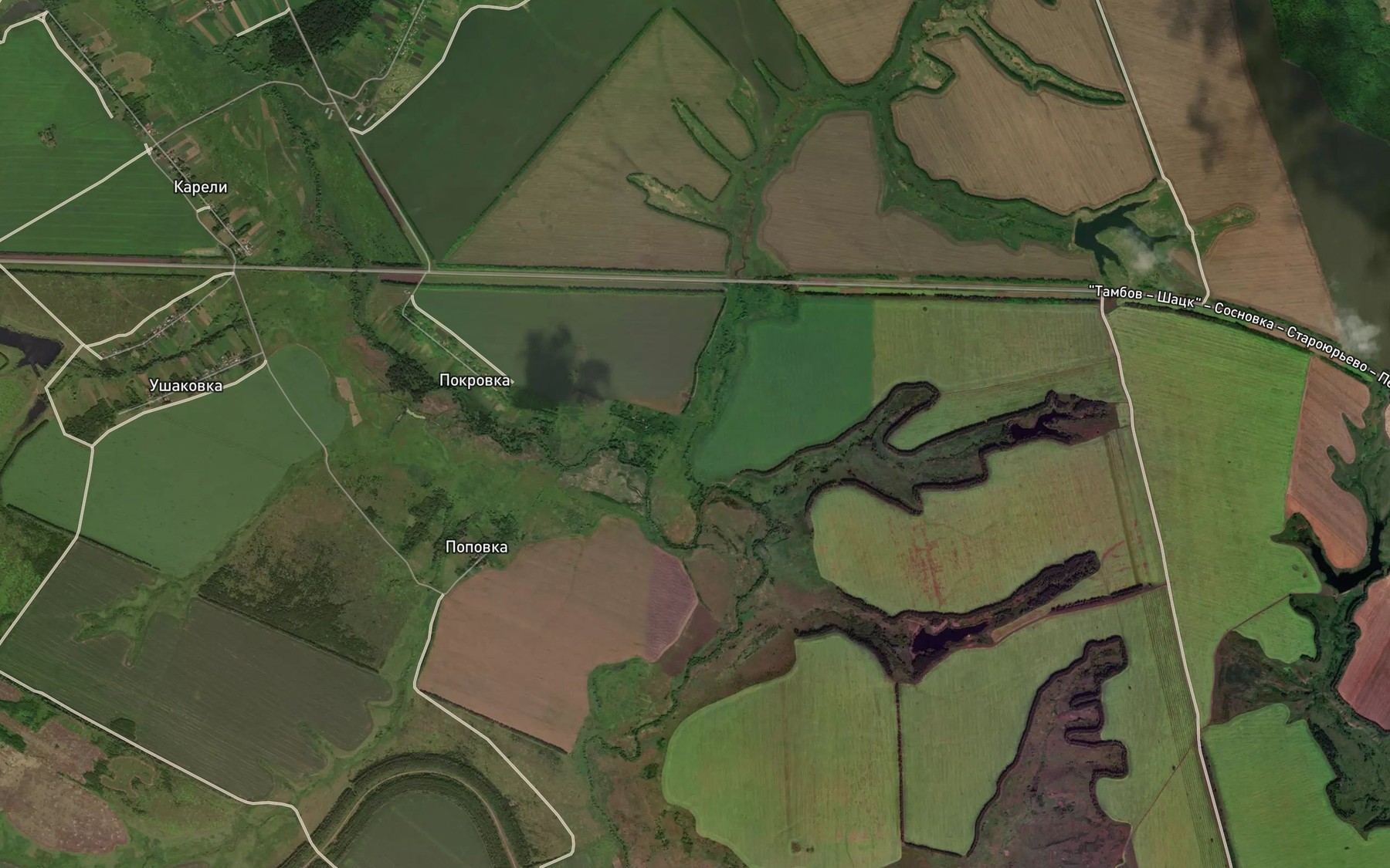 Satellite map of the Berezovaya