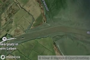 Wischhafener Suderelbe