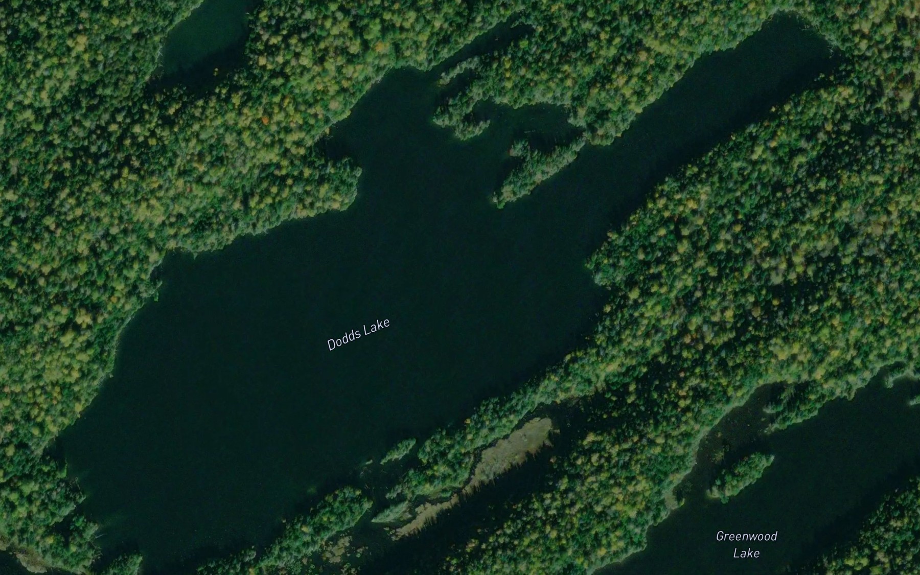 Satellite map of the Dodds Lake
