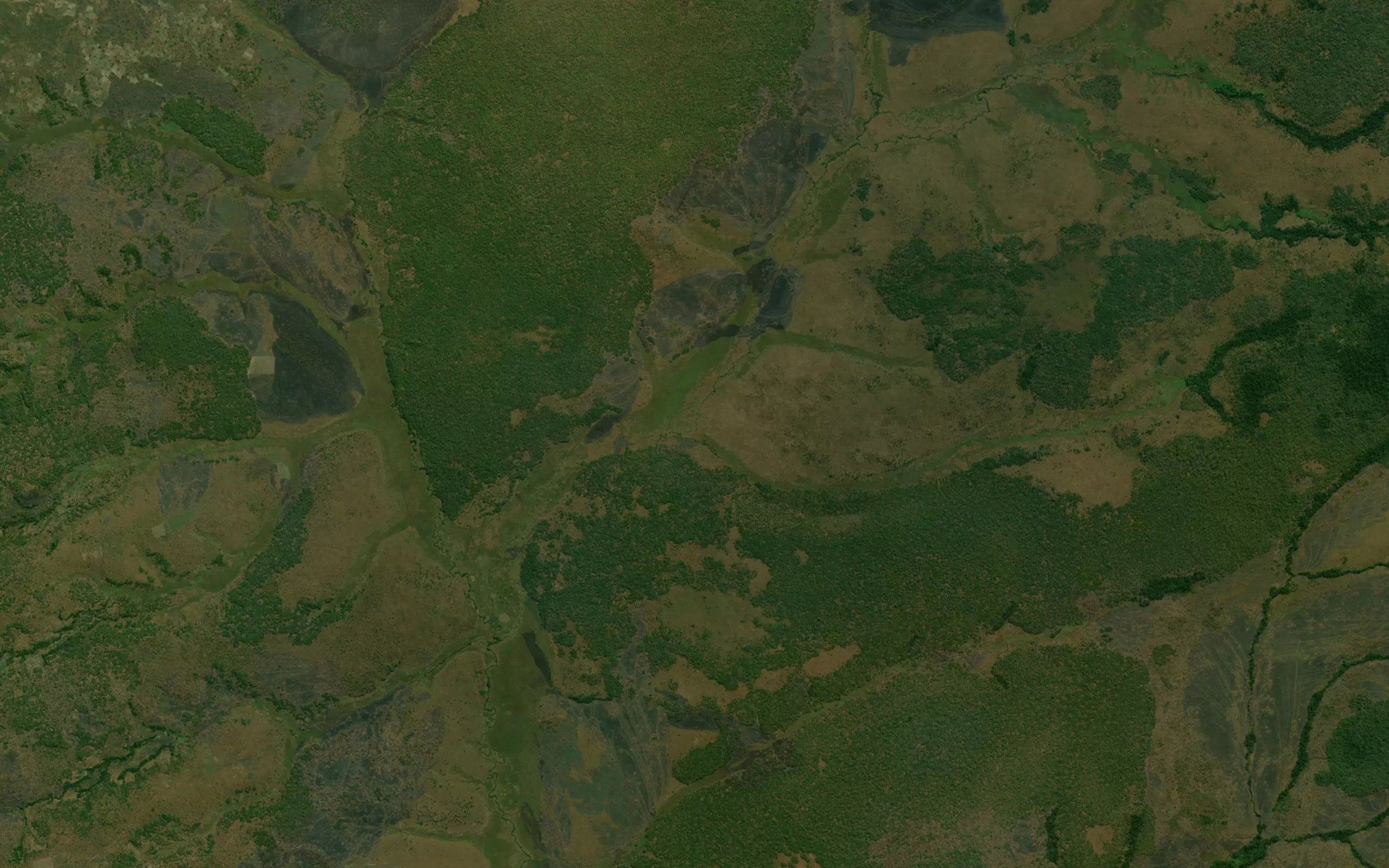 Camuango