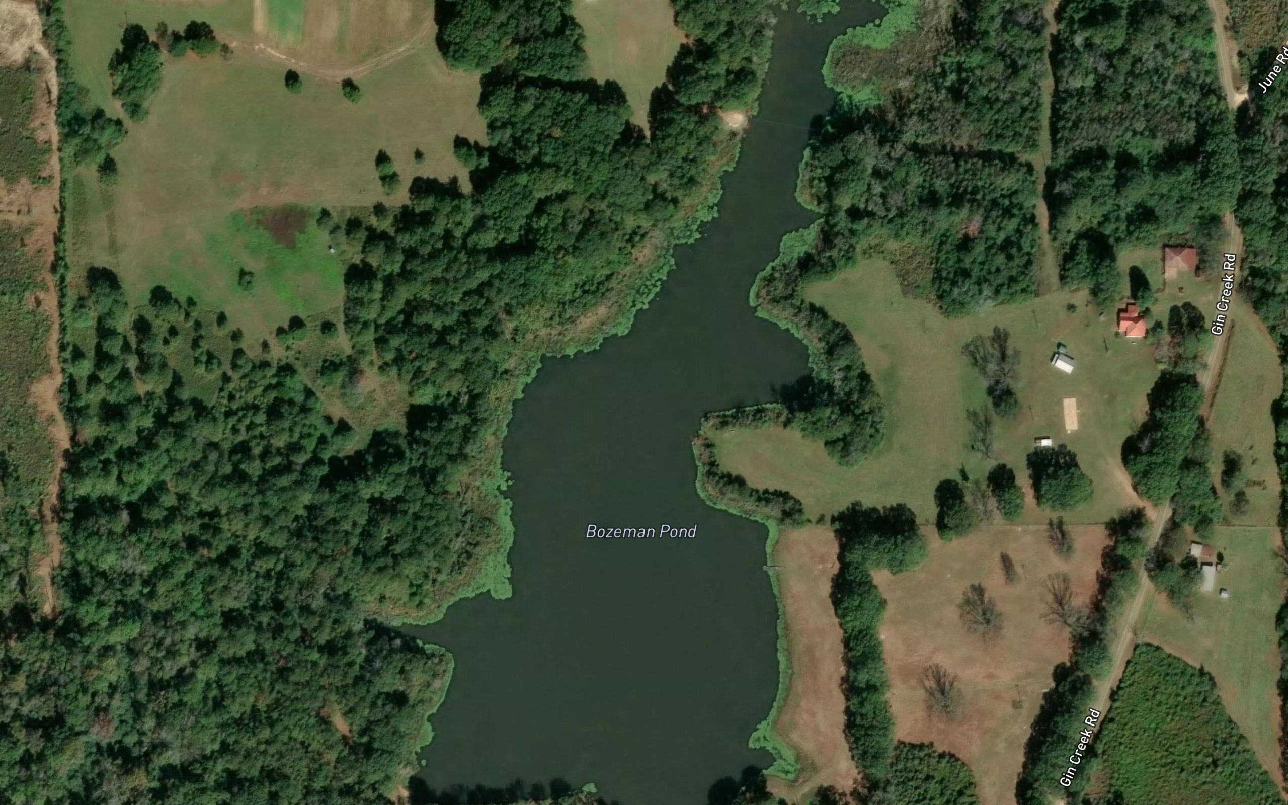 Bozeman Pond