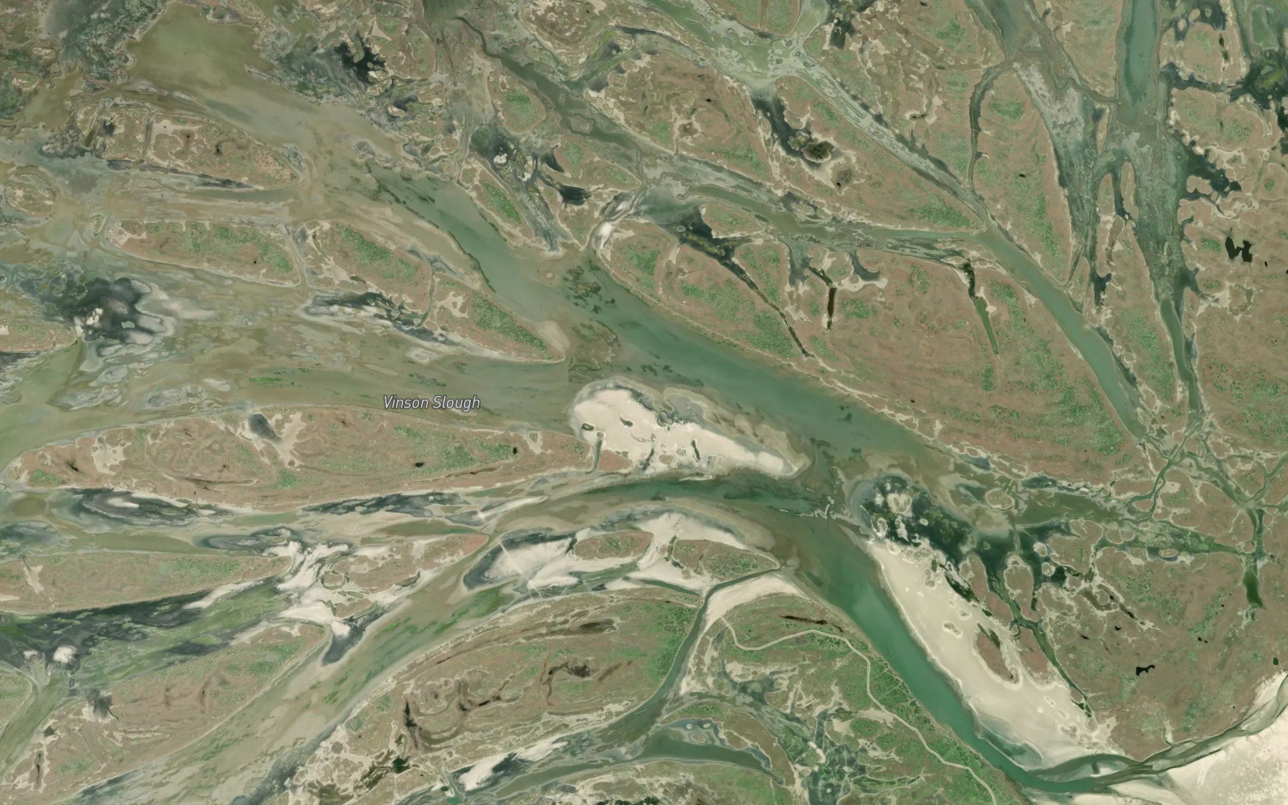 Vinson Slough