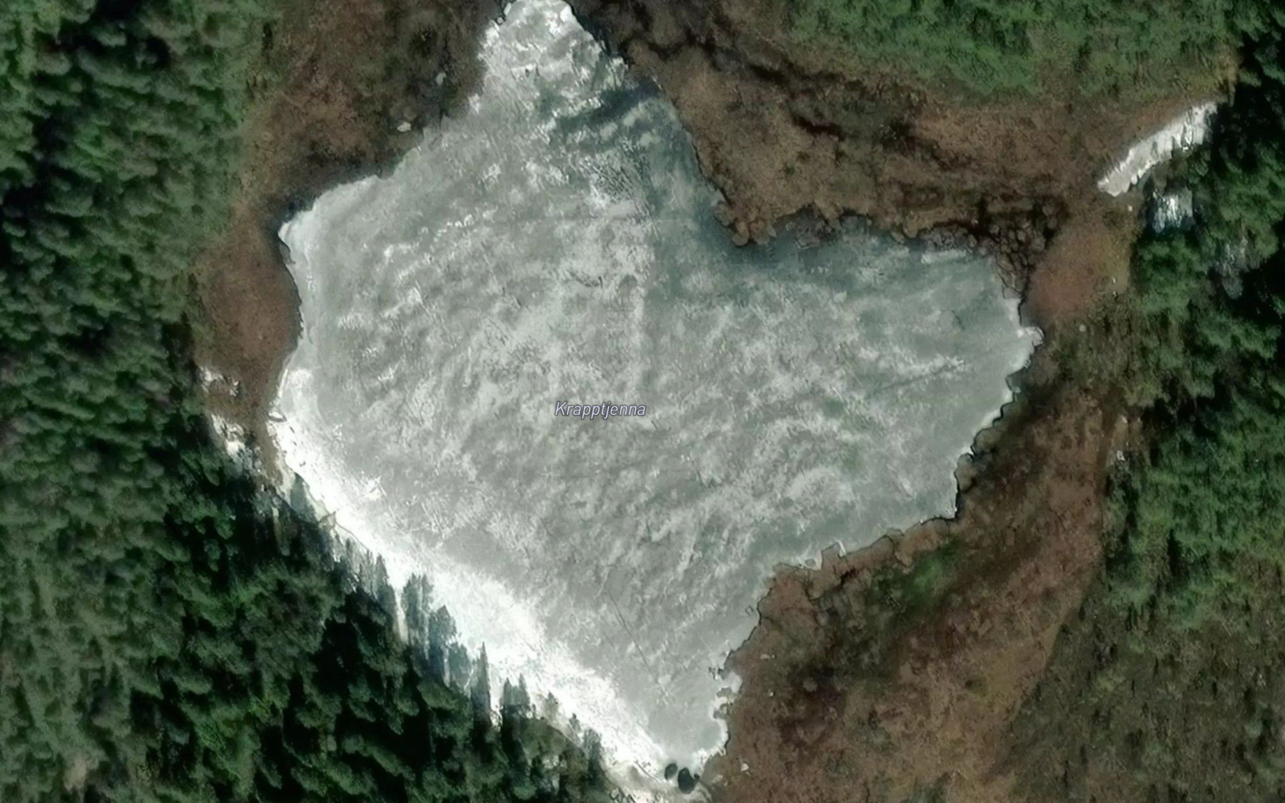 Krapptjern