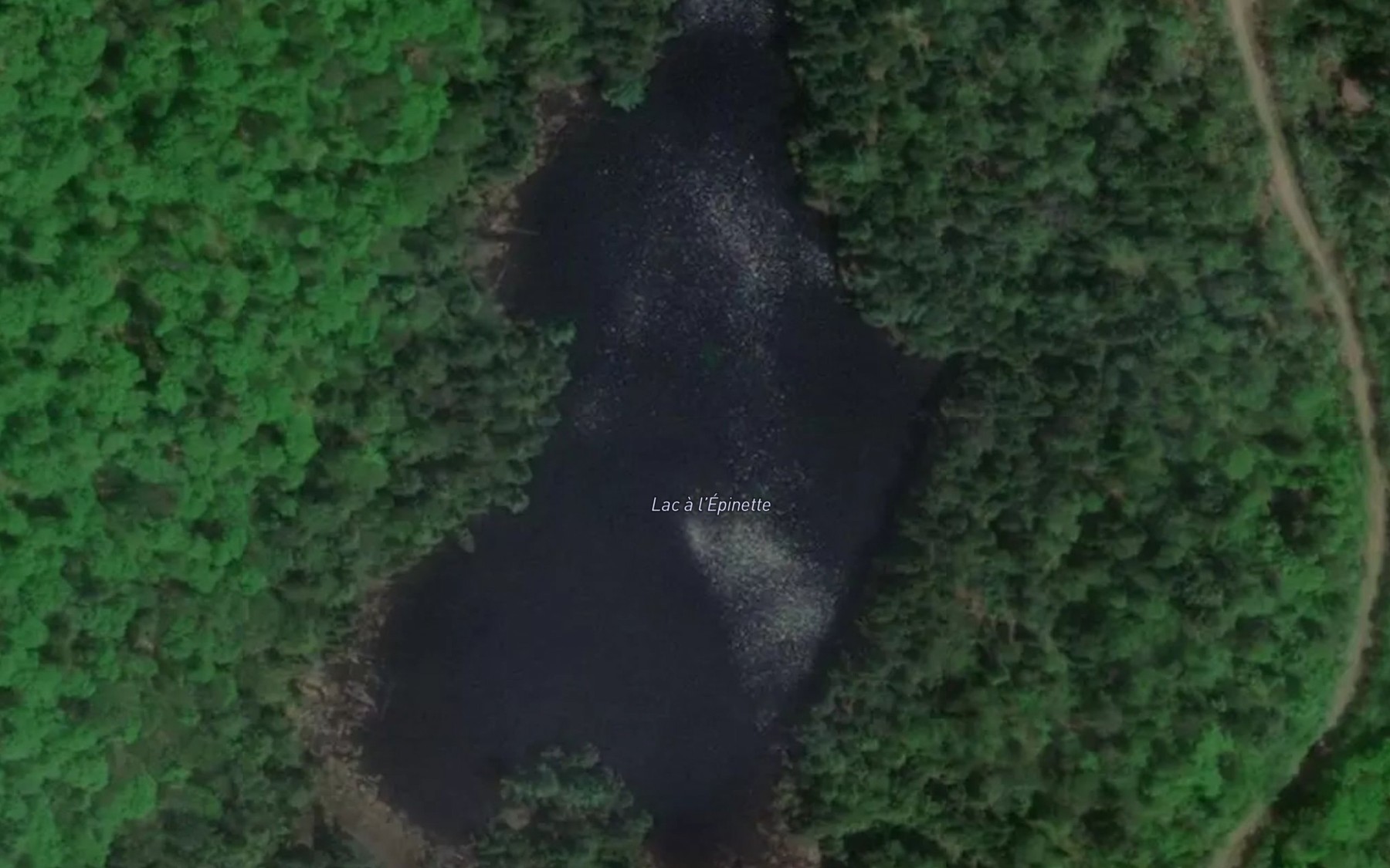 Satellite map of the Lac a l'Epinette