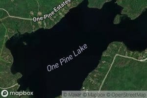 One Pine Lake