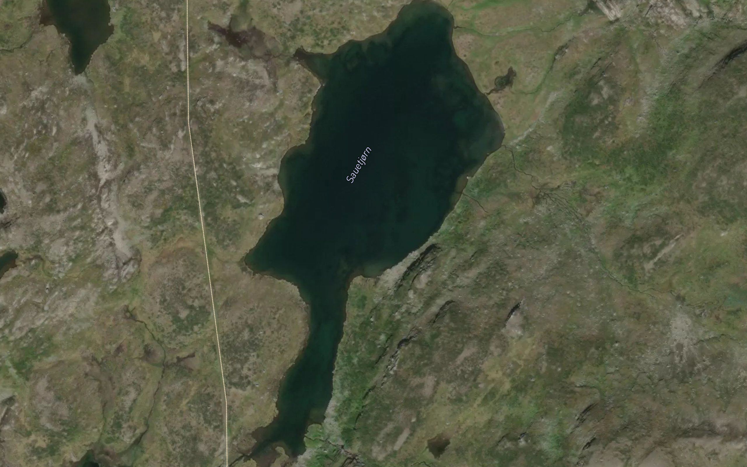 Sauetjorn