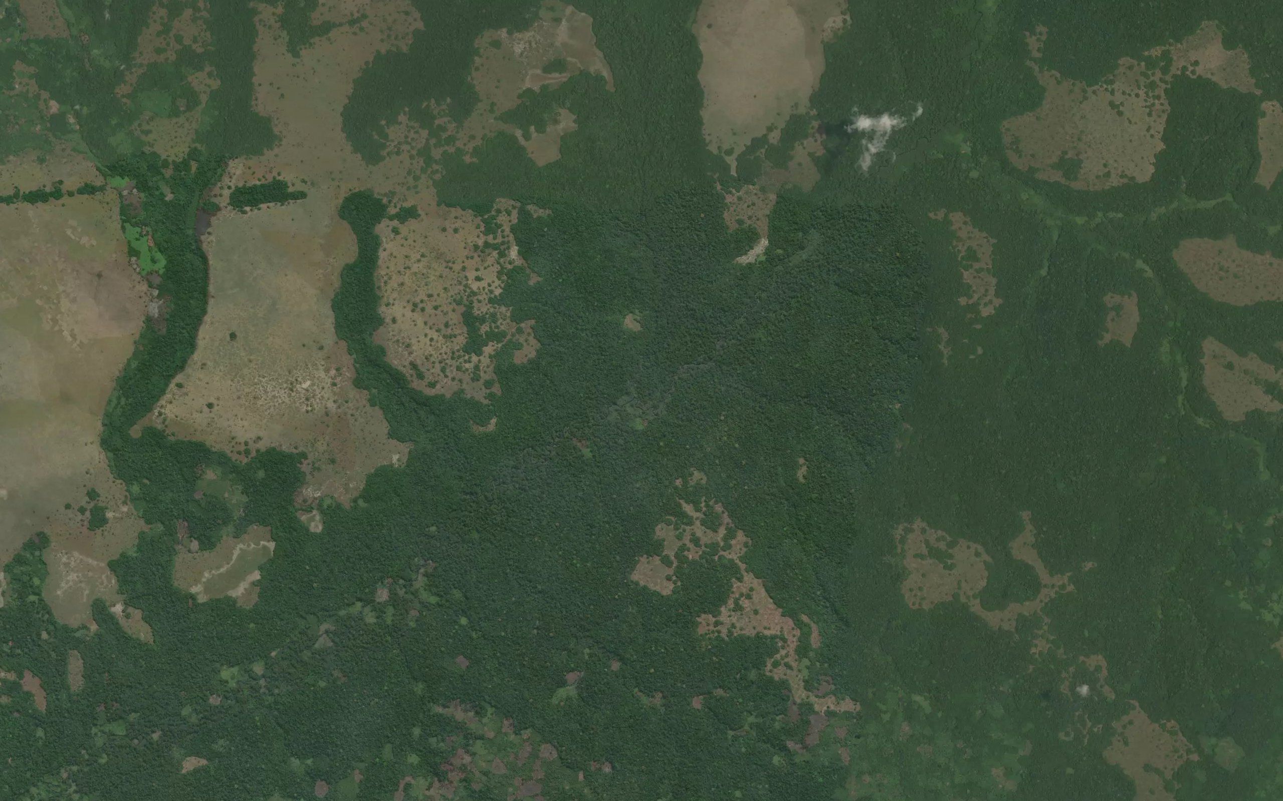 Okongolushi