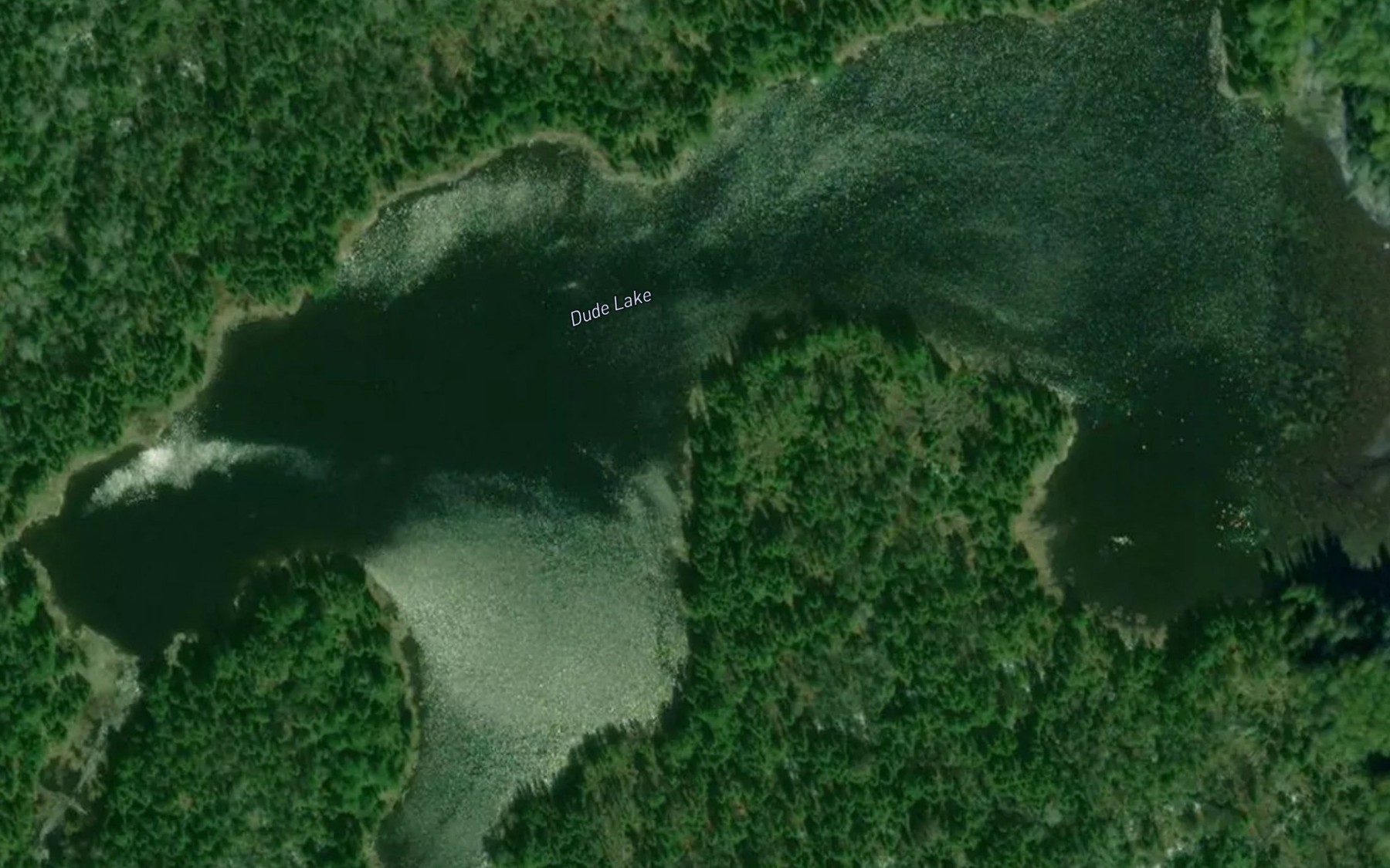 Satellite map of the Dude Lake