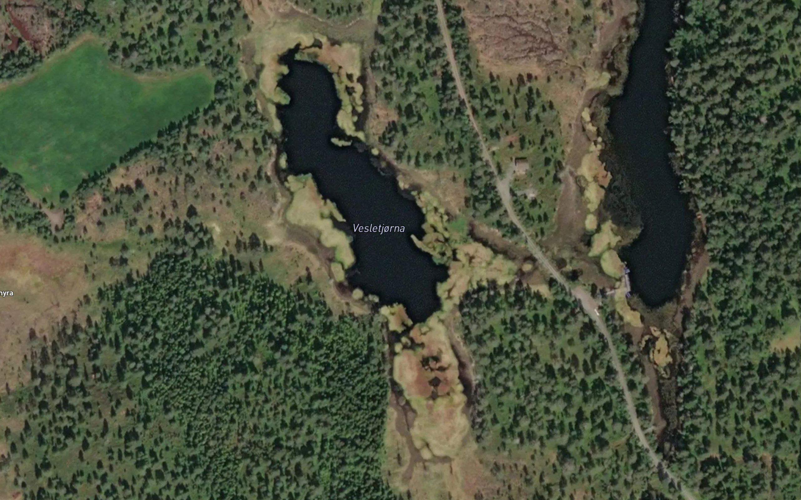 Vesletjorna