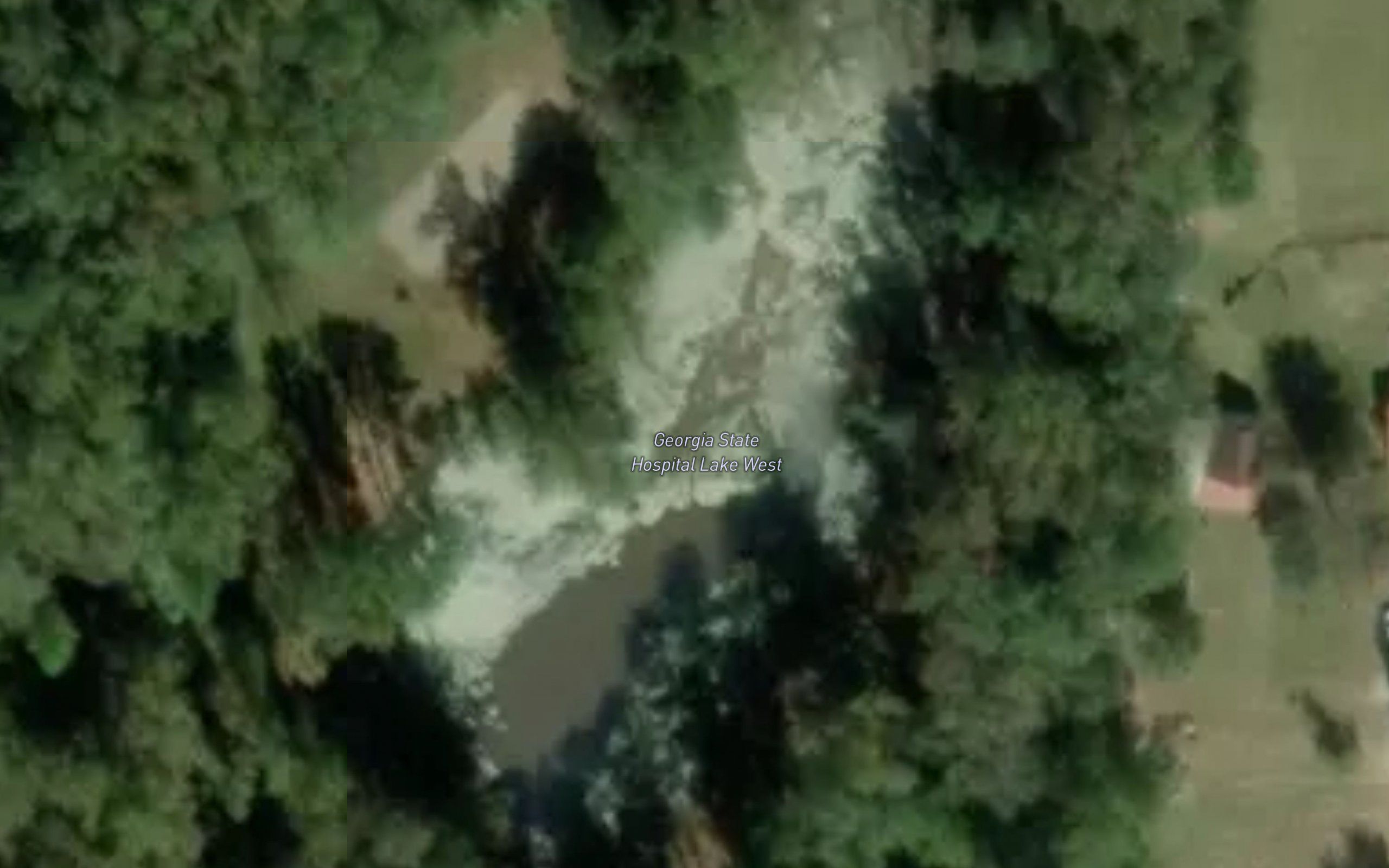 Georgia State Hospital Lake West