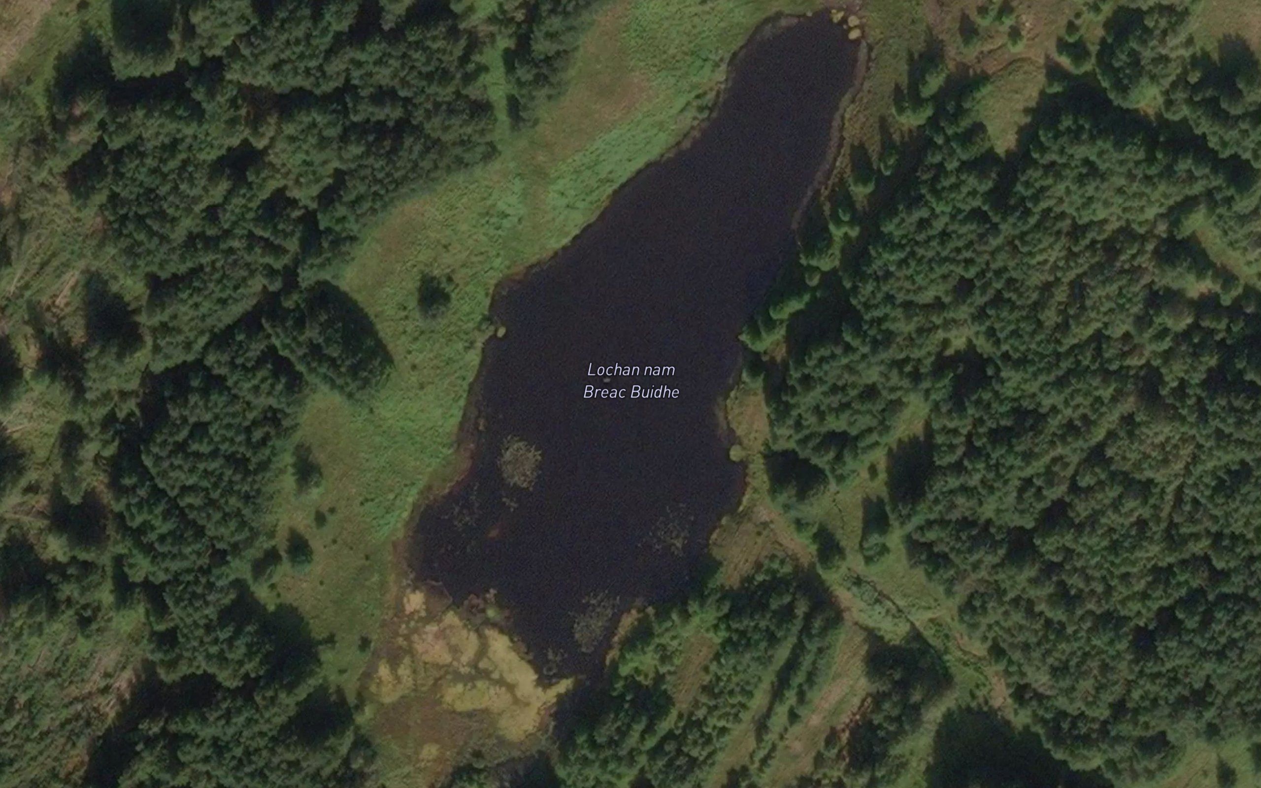 Lochan nam Breac Buidhe